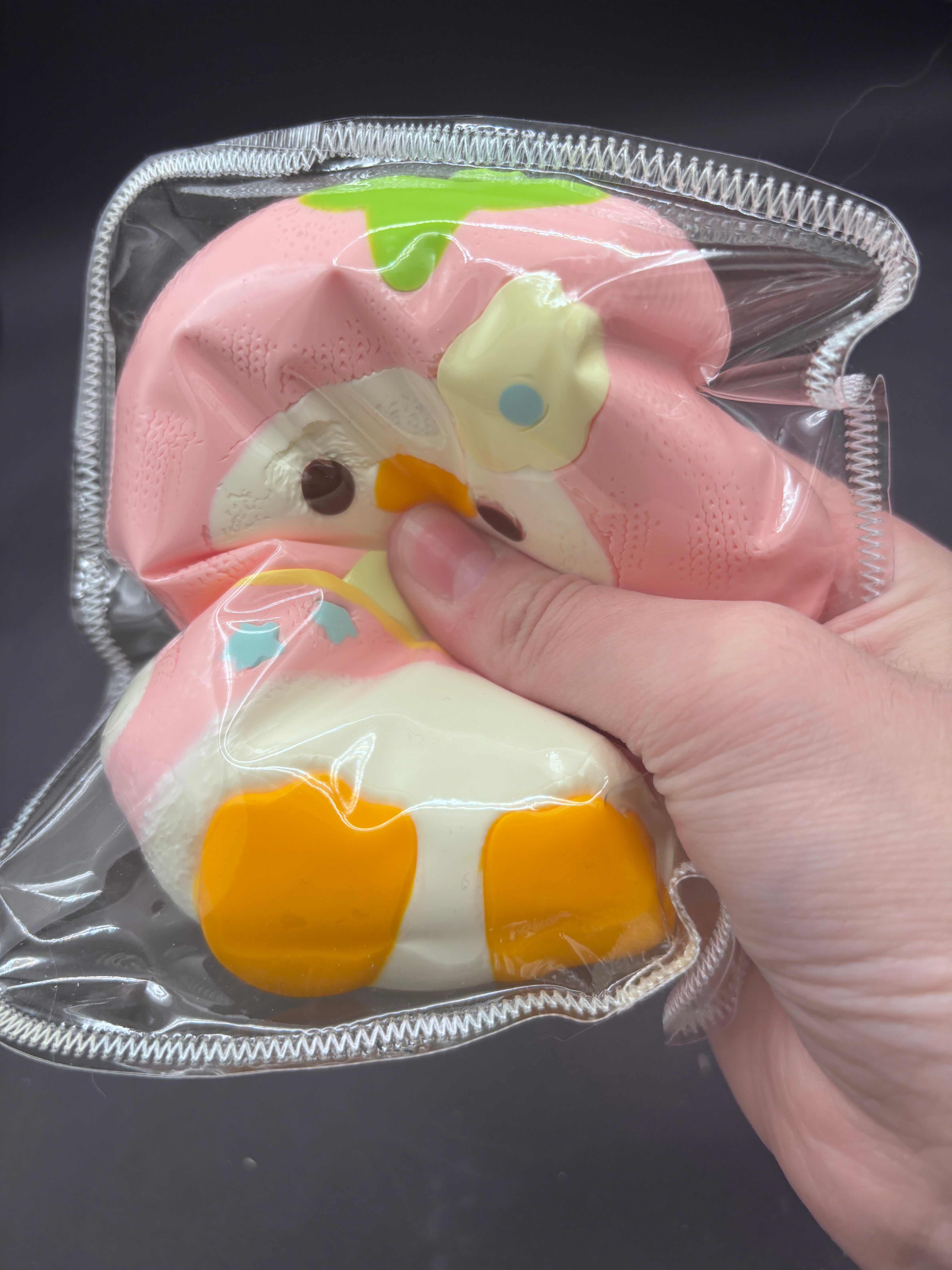 Duck Taba Squishy Toys