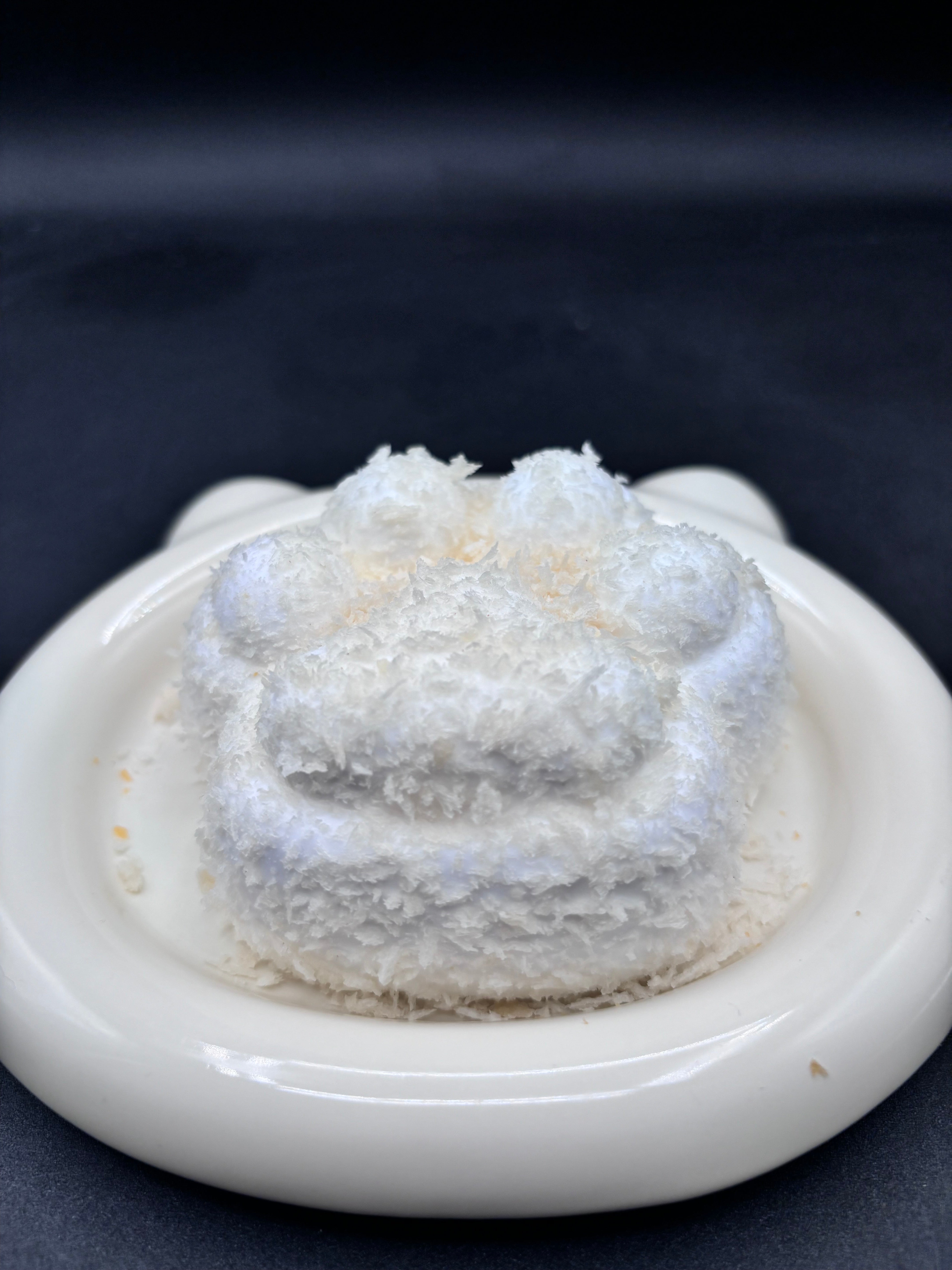 White Cat Paw Taba Squishy Toy