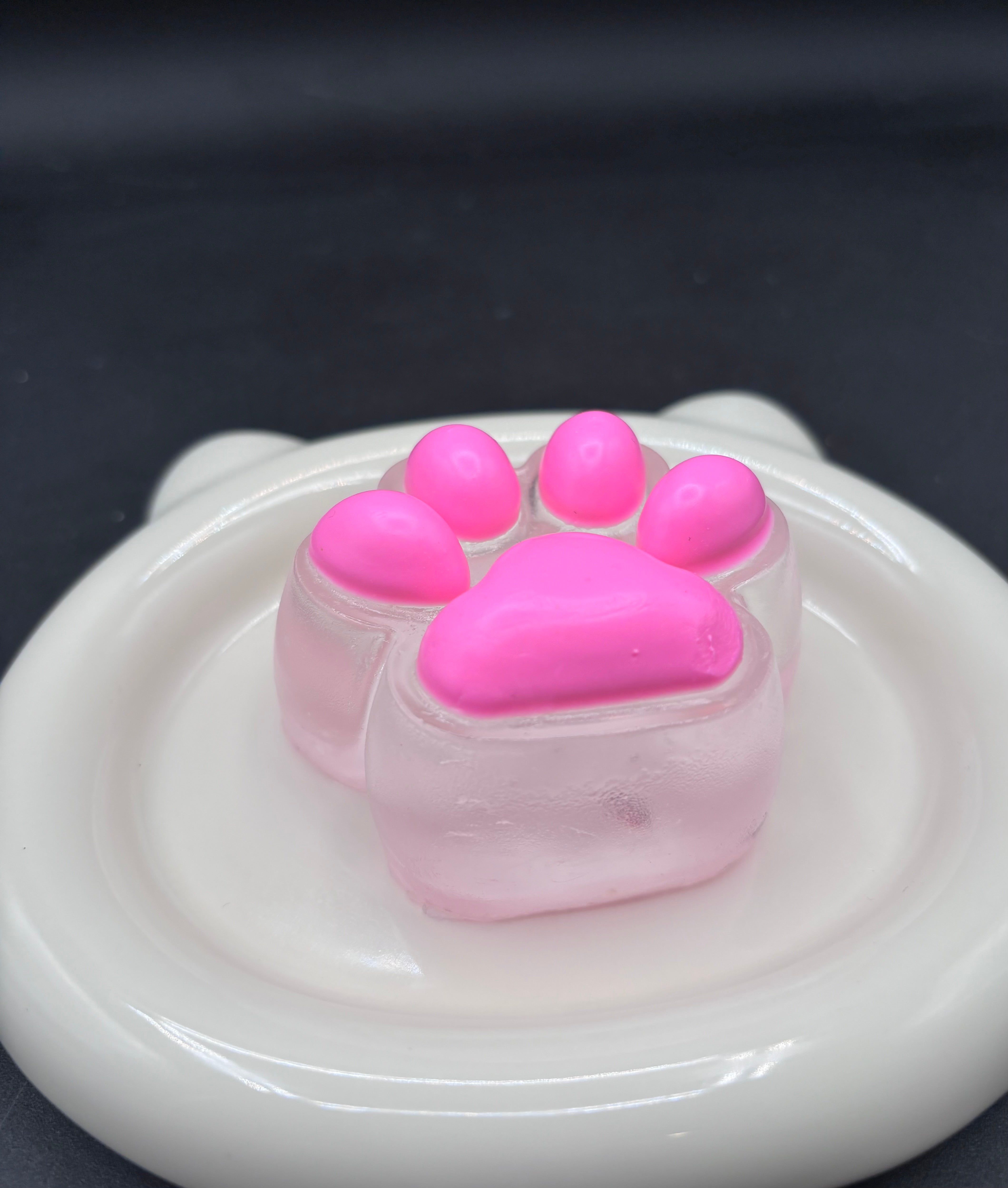 Large Color Taba Squishy Paw