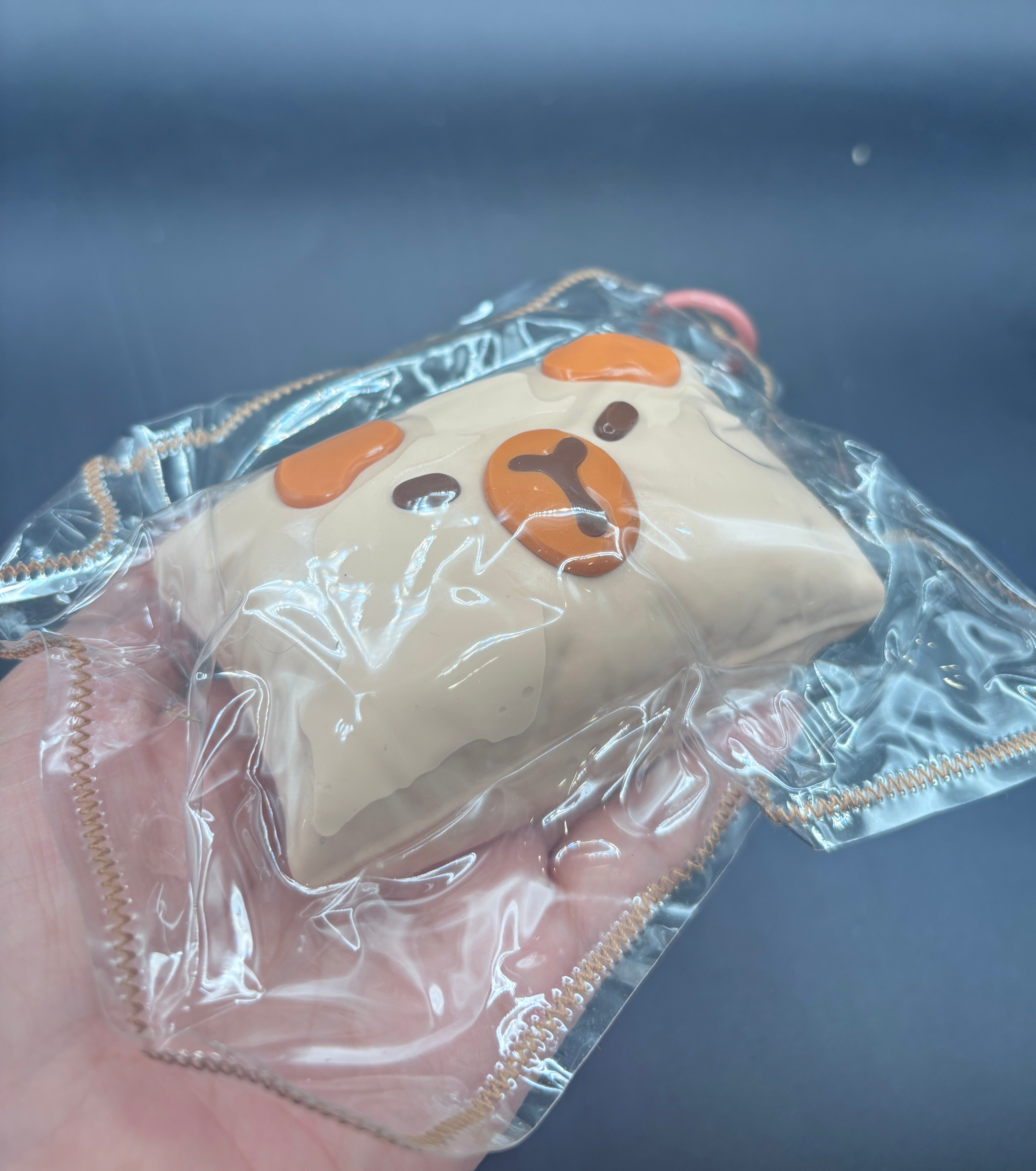 Capybara pillow taba squishy