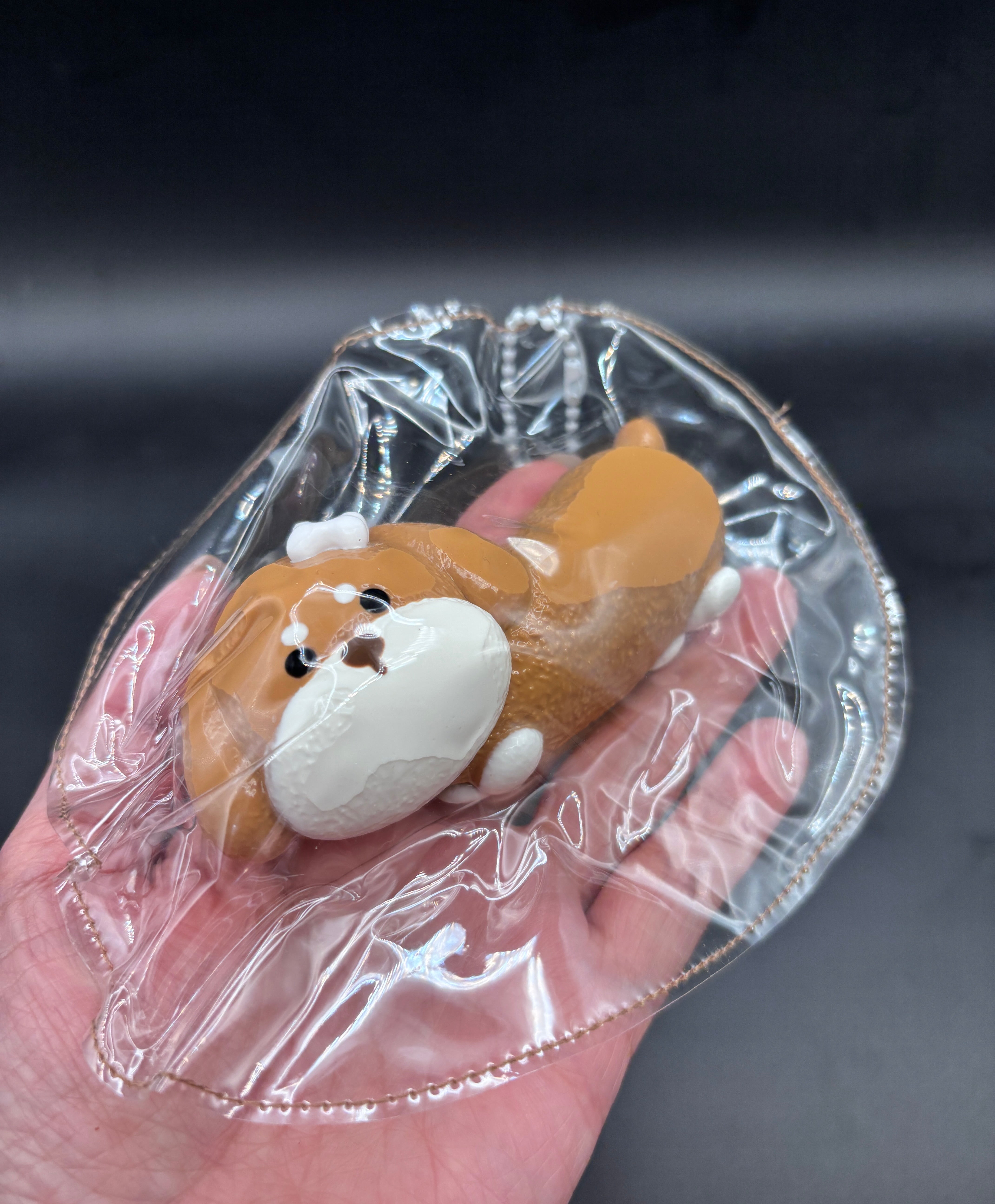 Cute new sausage dog taba squishy soft