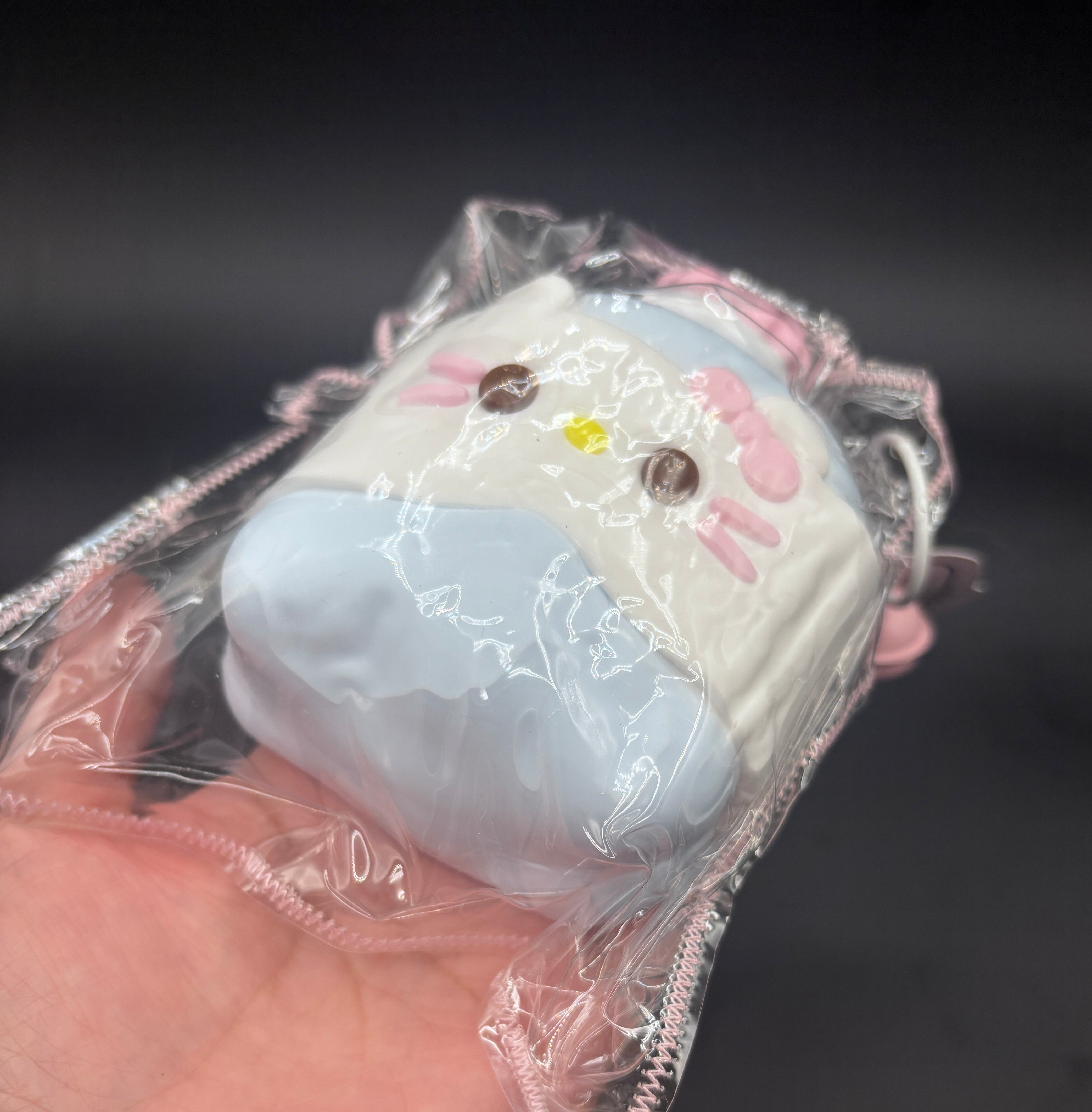 Large kitty Water bottle taba squishy