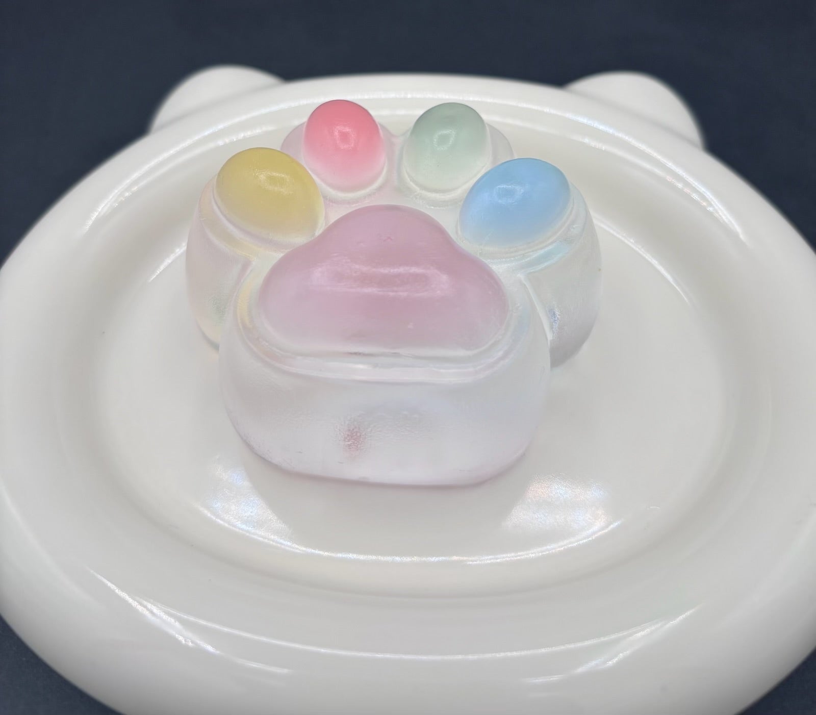 Rinbow Pastel Taba Squishy Paw