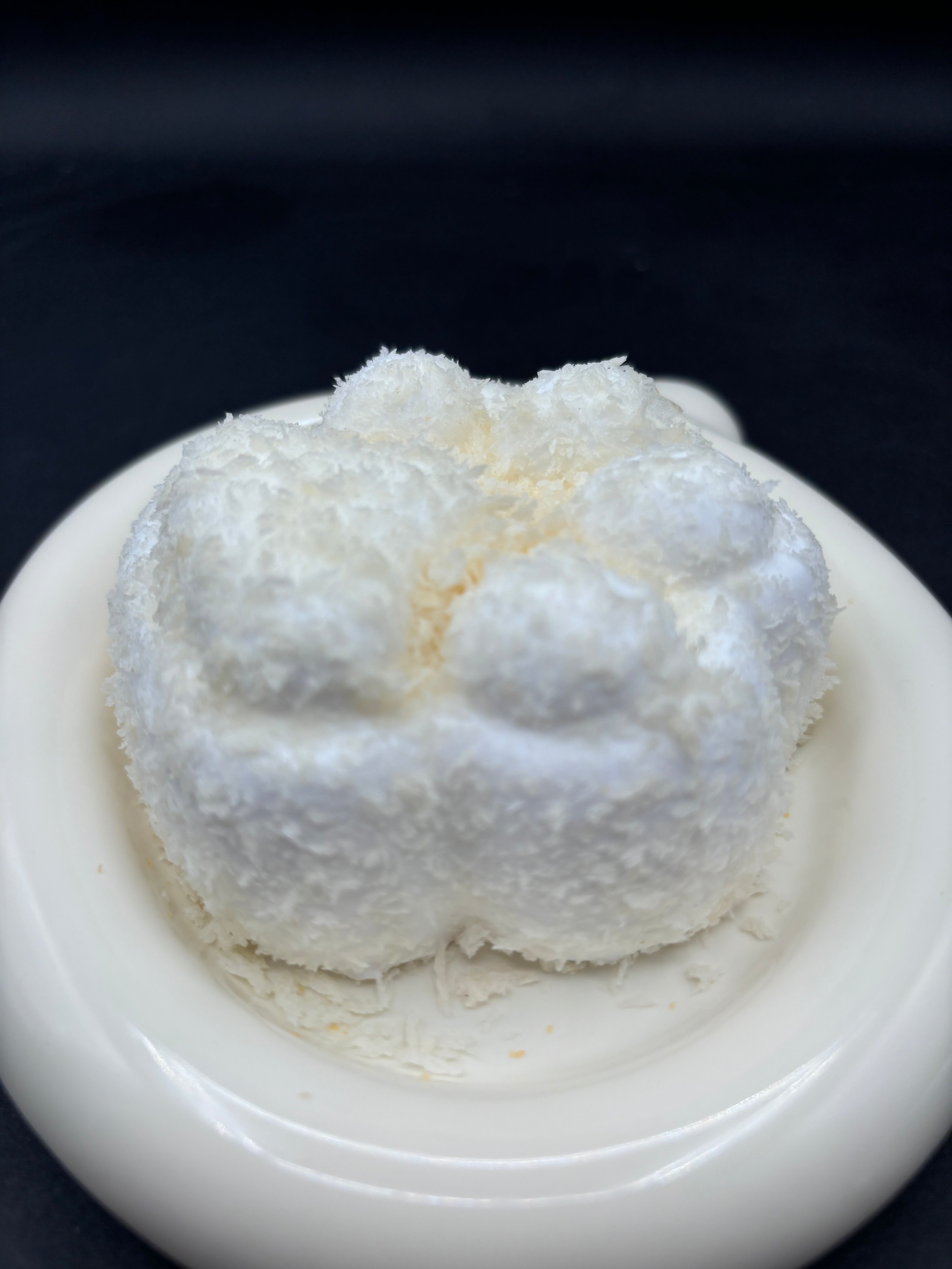 White Cat Paw Taba Squishy Toy