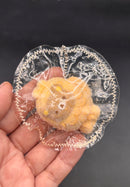Rilakkuma taiyaki cute mini (flocked and unflocked)taba squishy