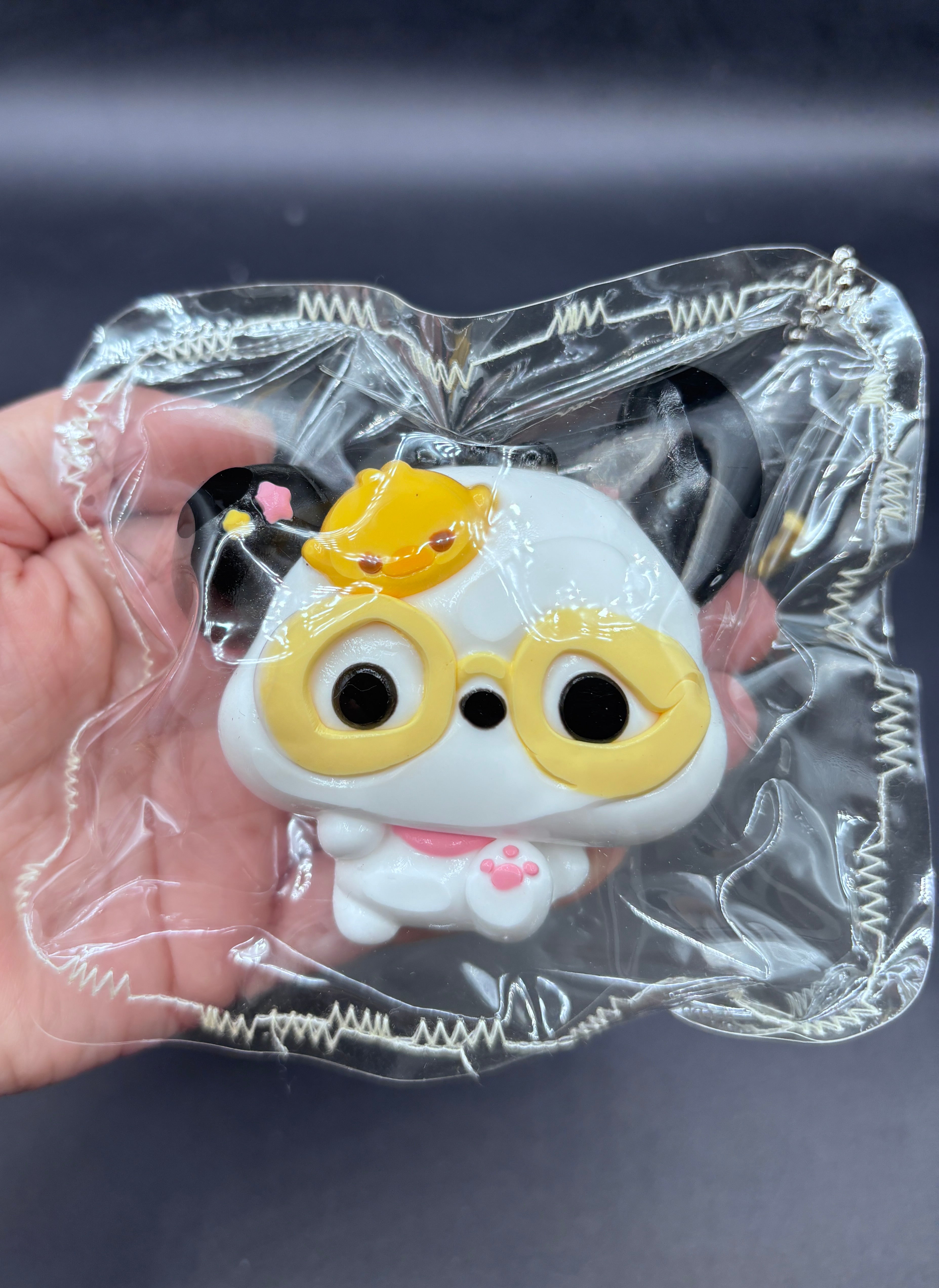 Cute glasses pochaco taba squihsy