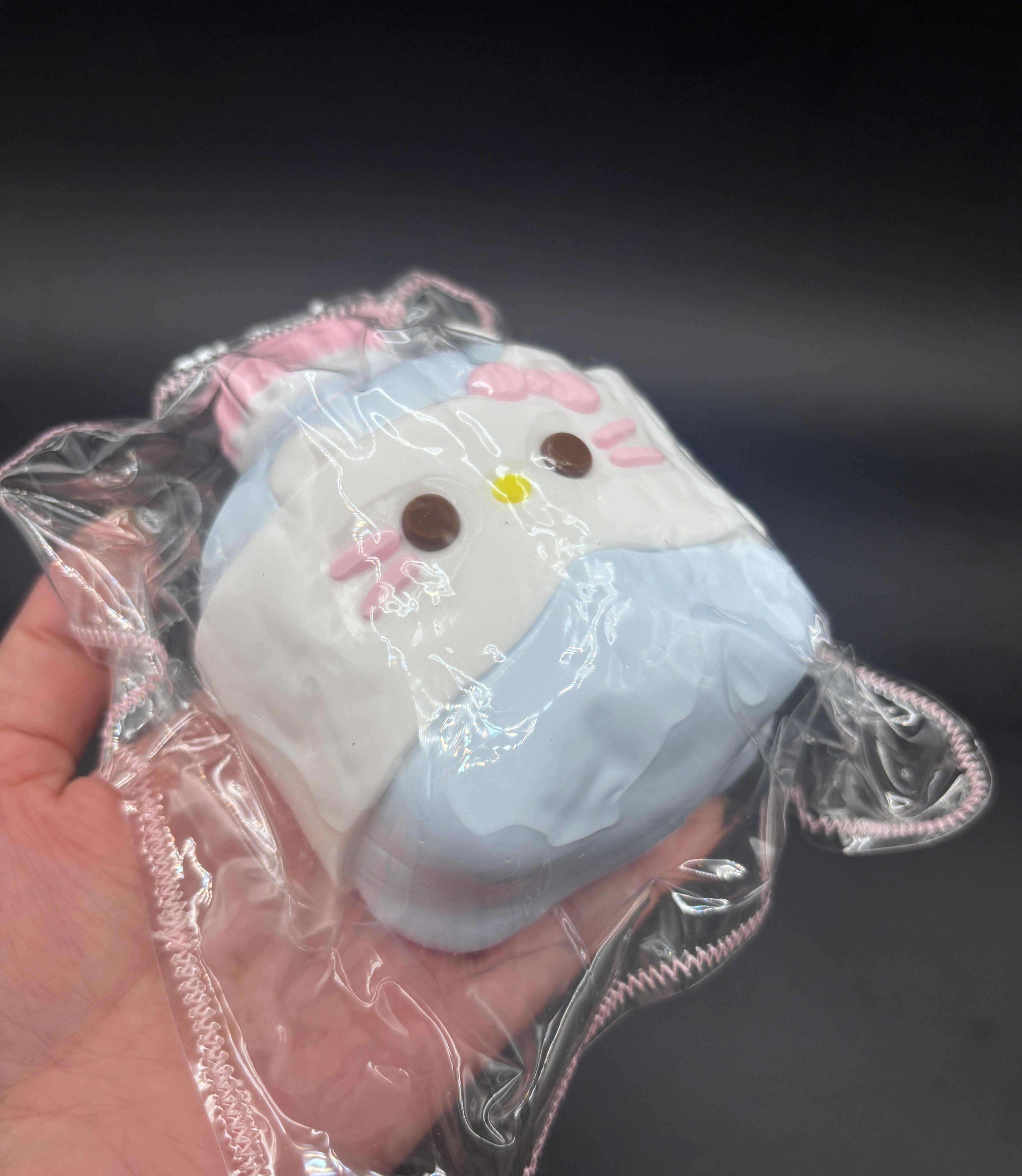 Large kitty Water bottle taba squishy