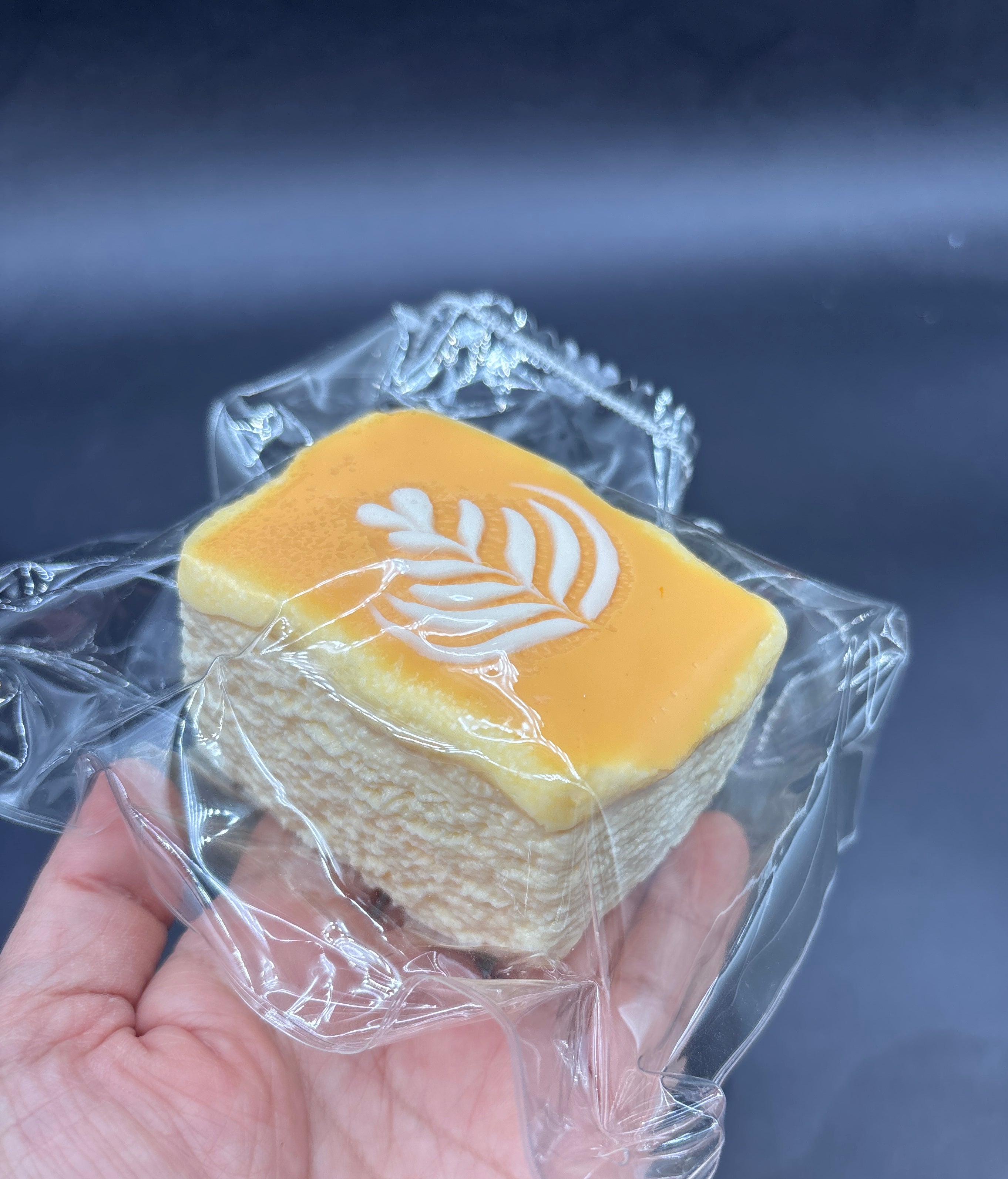 Frozen butter cappuccino cake taba squishy toy