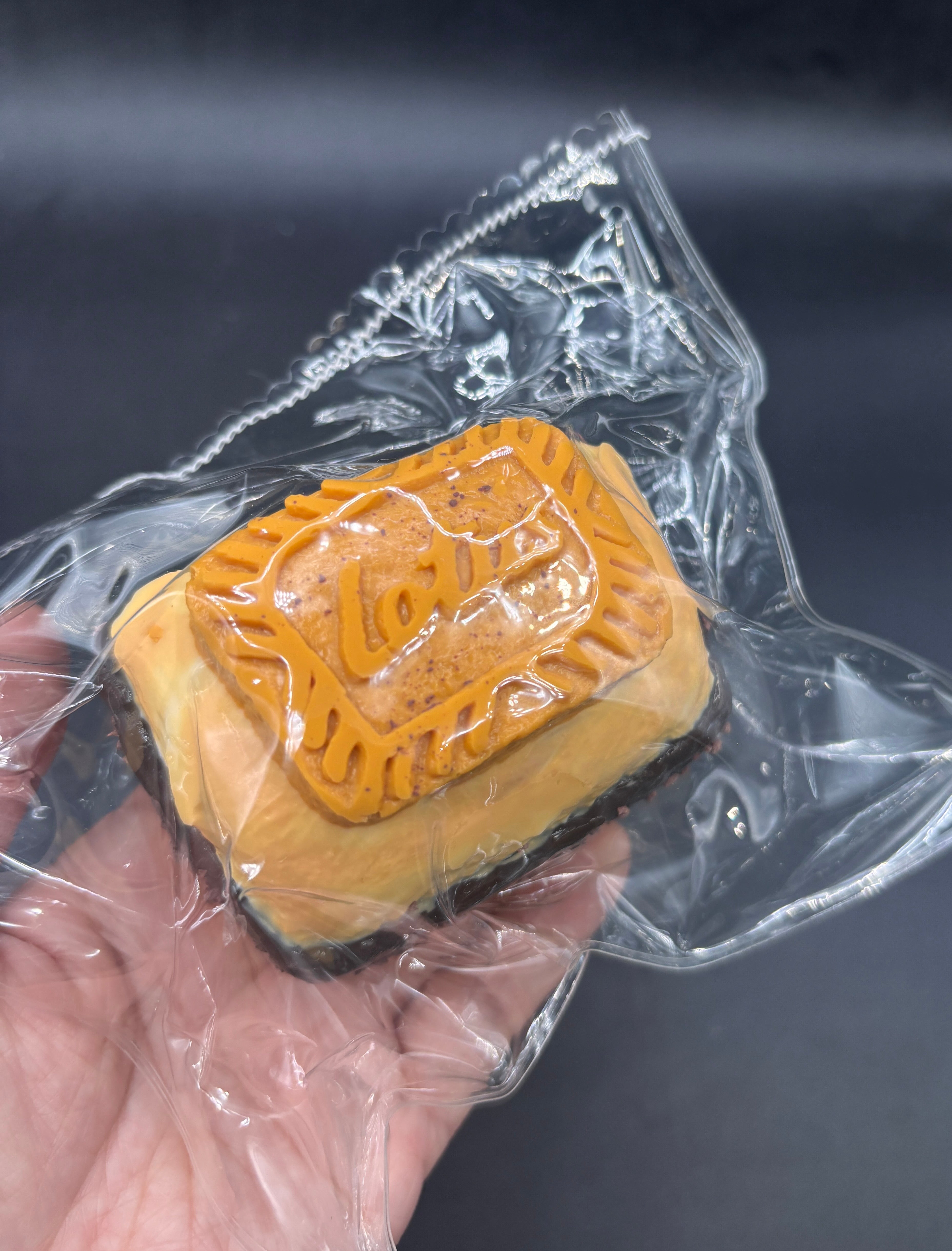 Frozen butter lotus chocolate biscuit taba squishy – MoonKatt