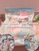 Taba squishy blind box