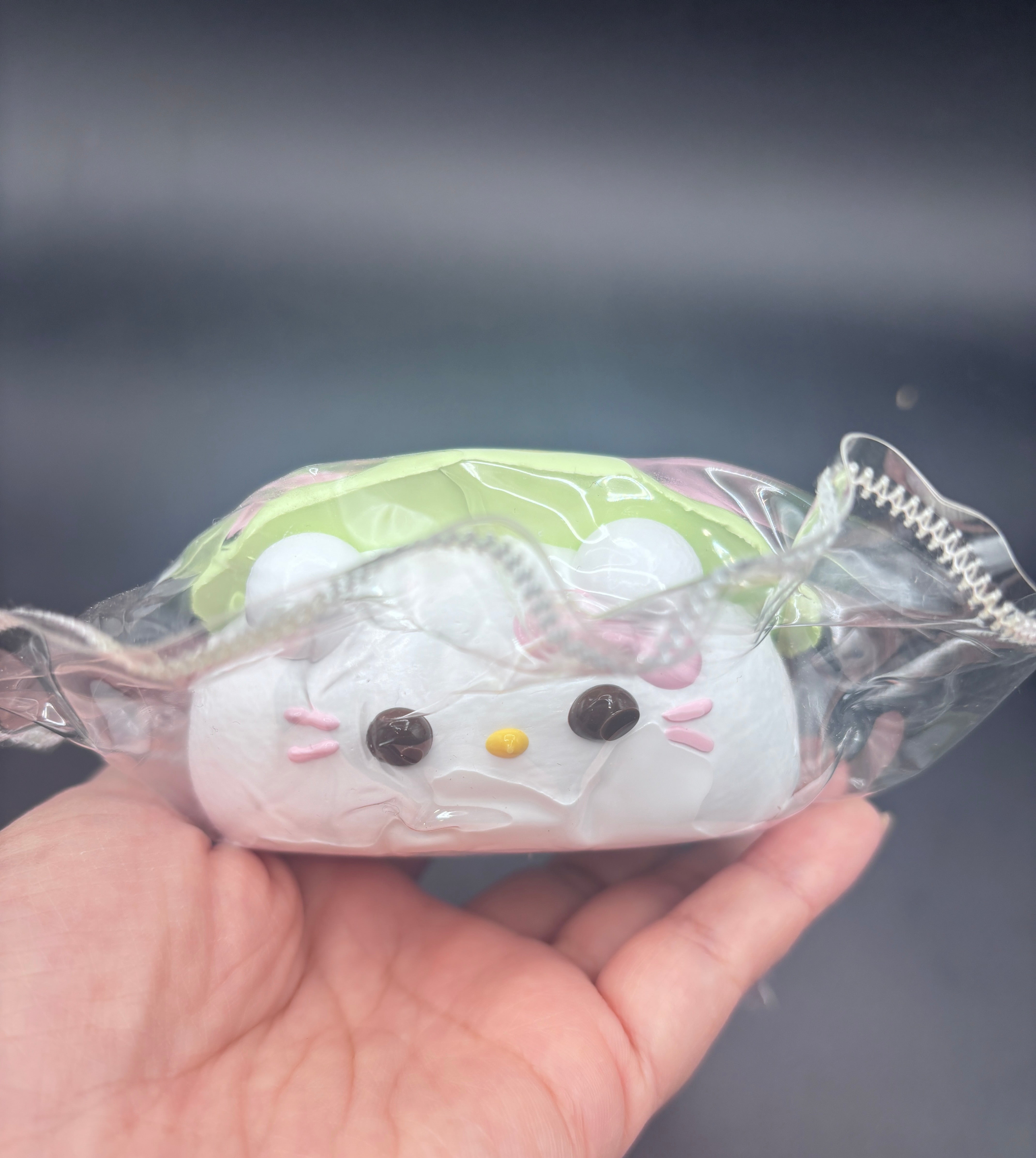 Kitty hotdog cute and soft  taba squishy