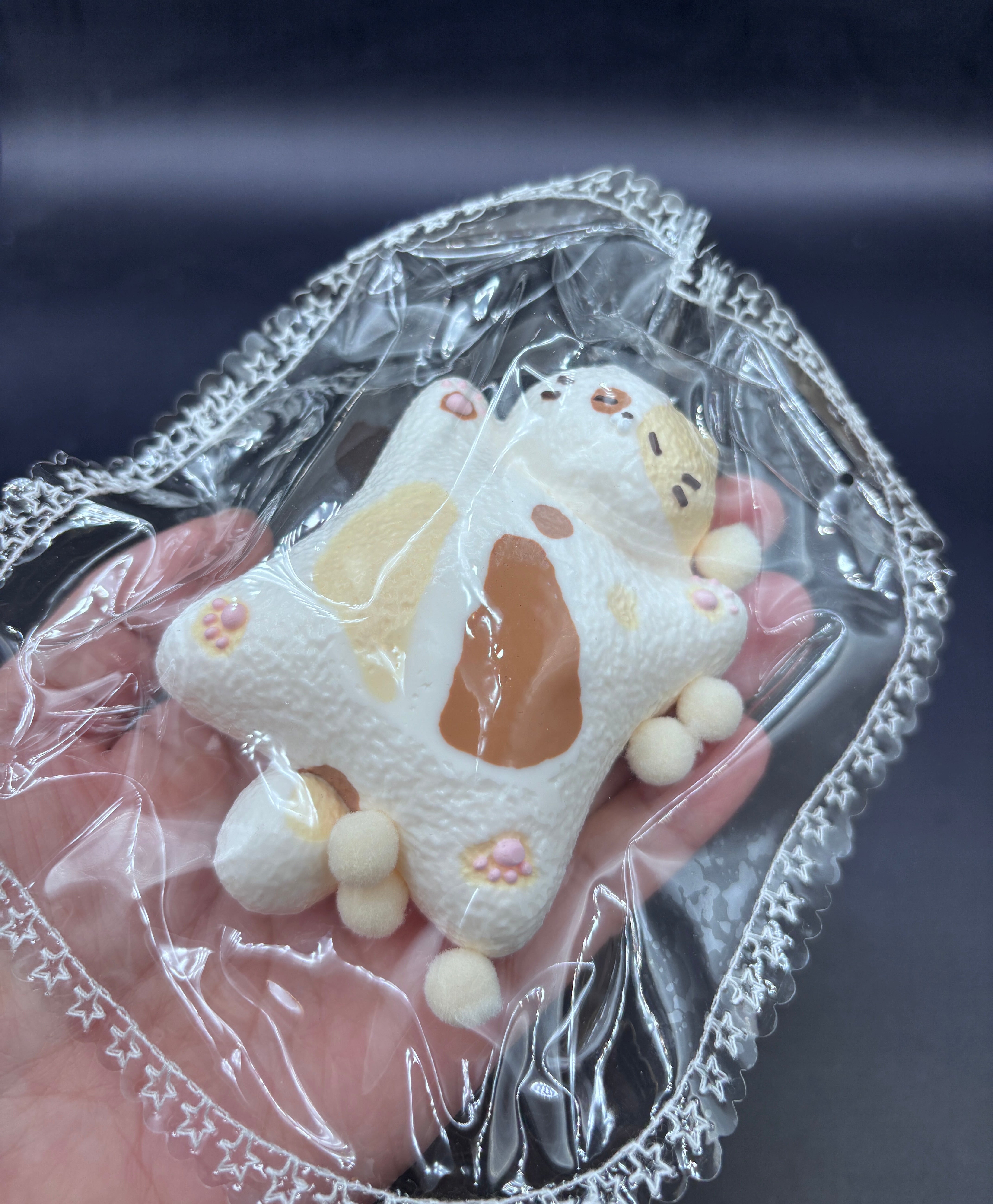 Frozen butter new laying down kitty cute