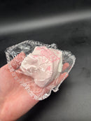 Peach dinosoar star biscuit taba squishy