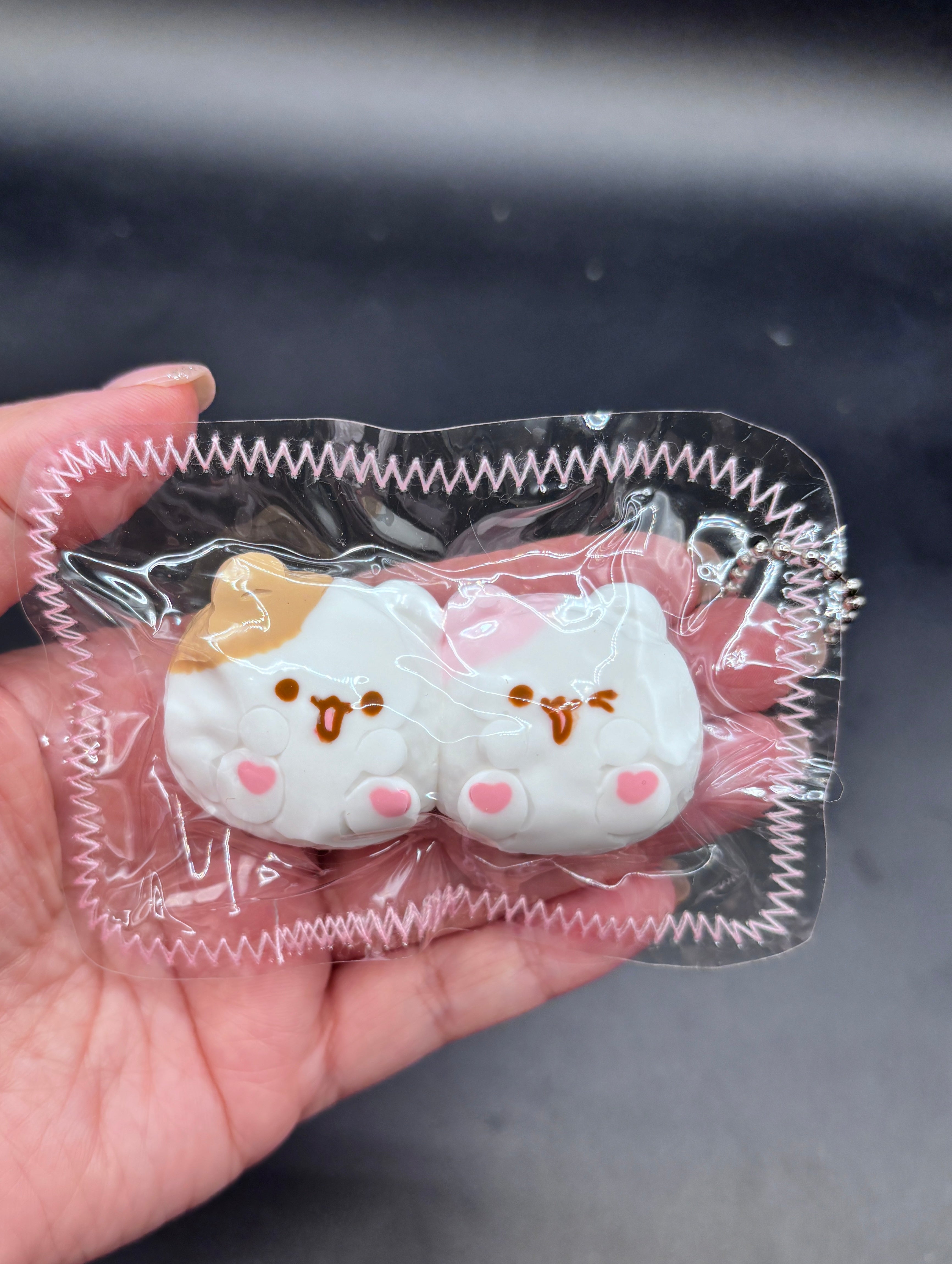 Pack of 2 melody and piano keychain soft taba squishy (random color choice)