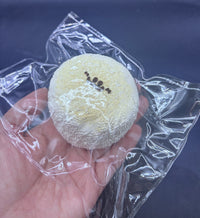 Cute Cookie Monster taba squishy