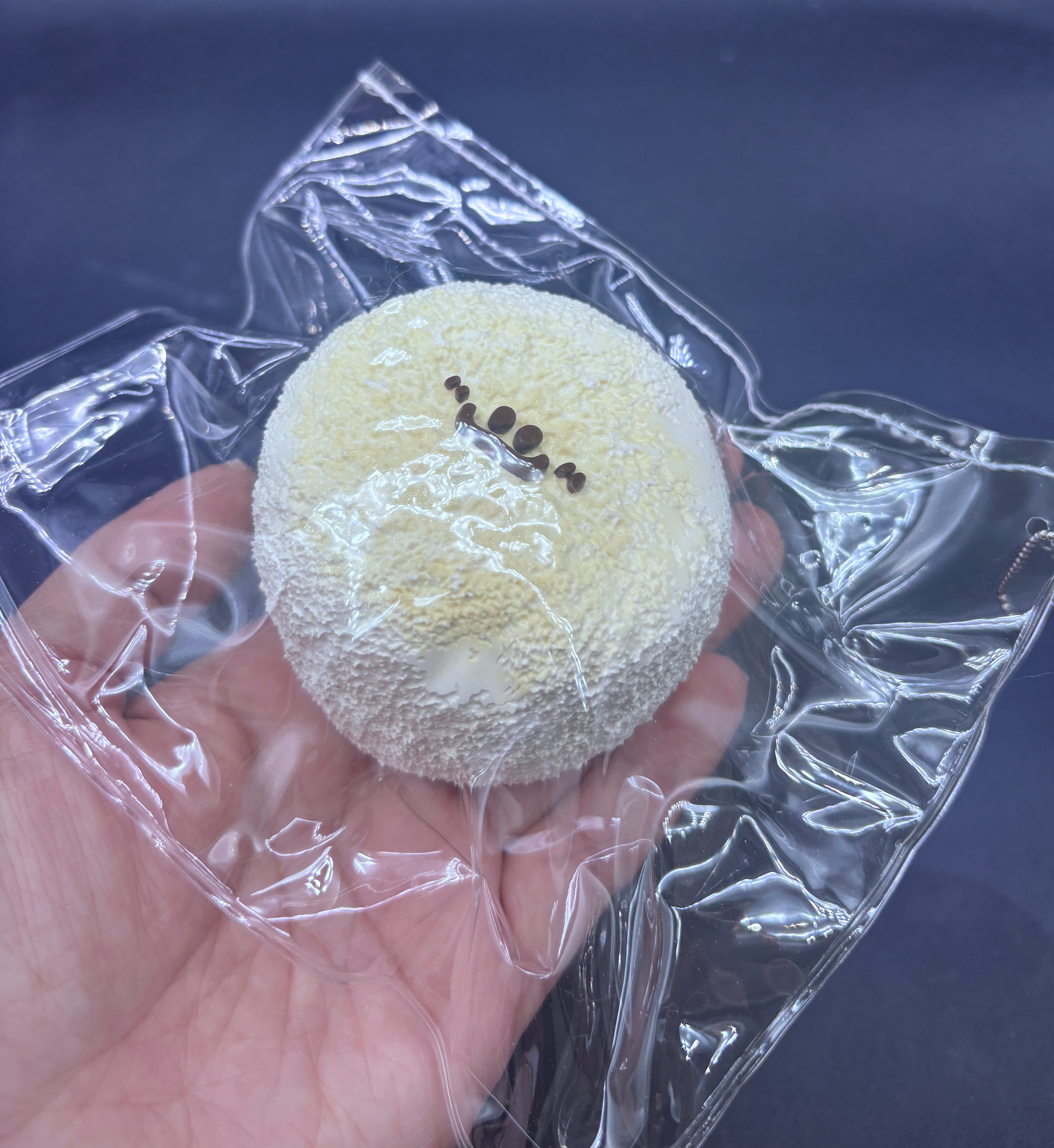 Cute Cookie Monster taba squishy