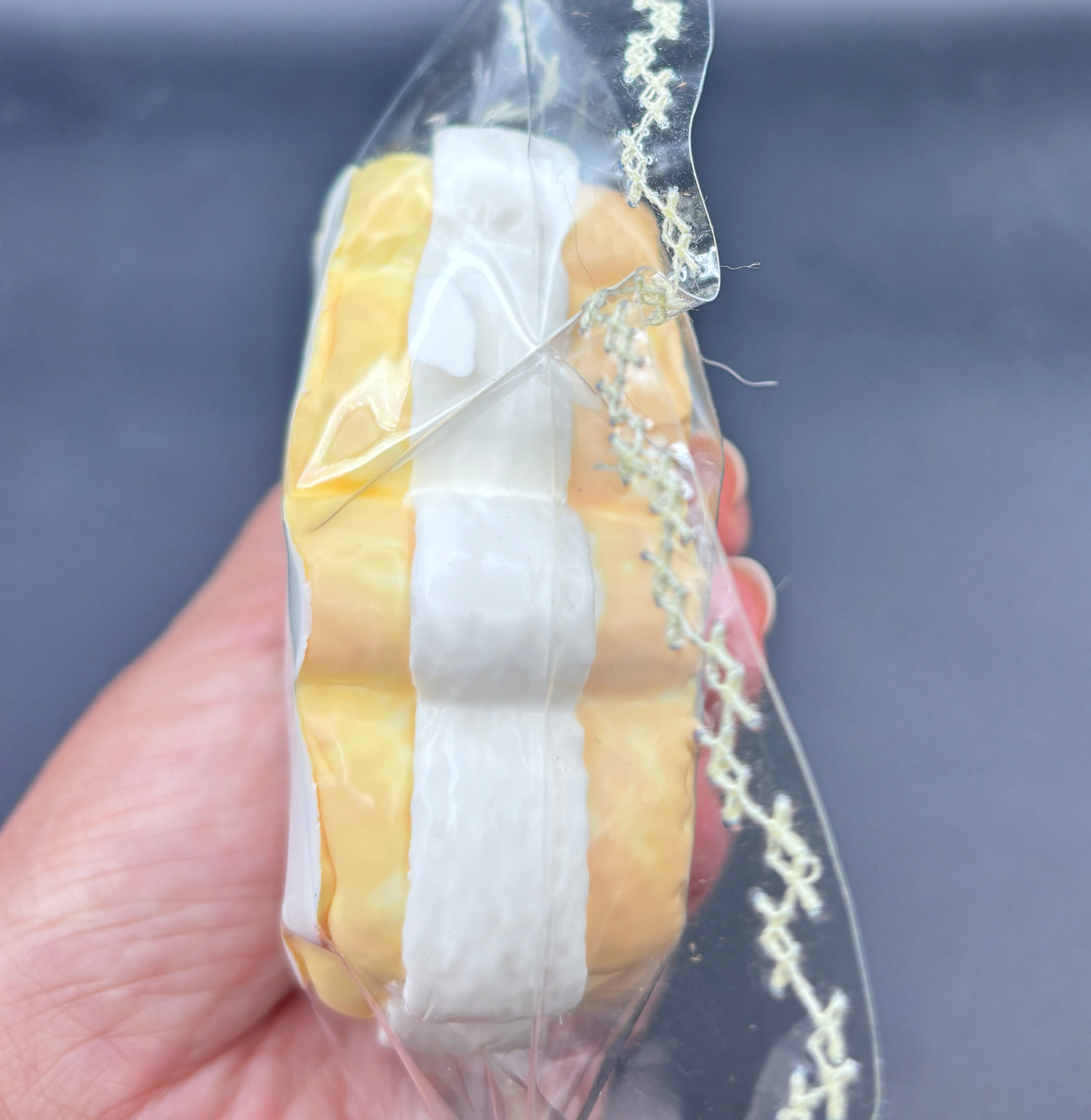 bear waffle biscut  Taba Squishy Toy