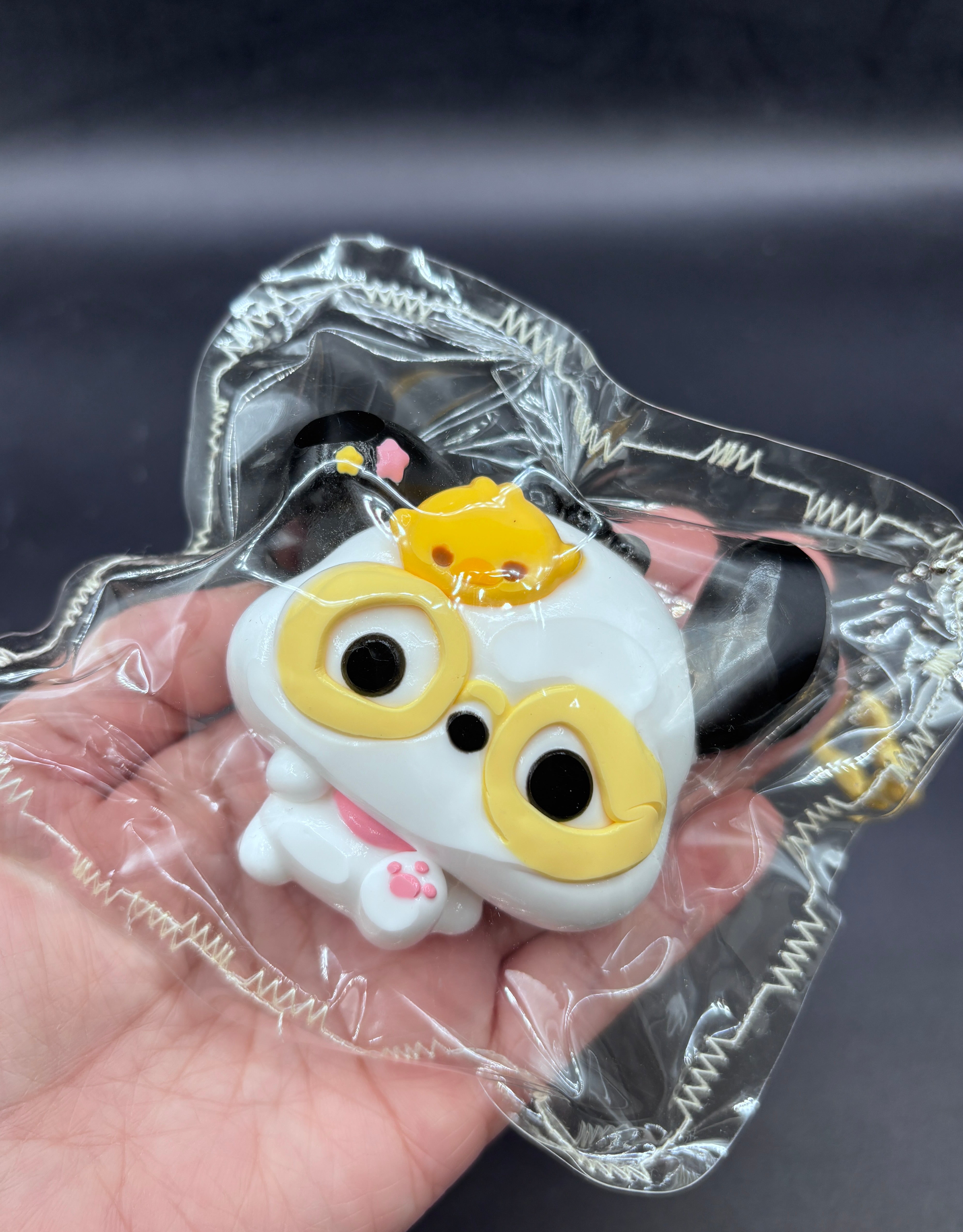 Cute glasses pochaco taba squihsy