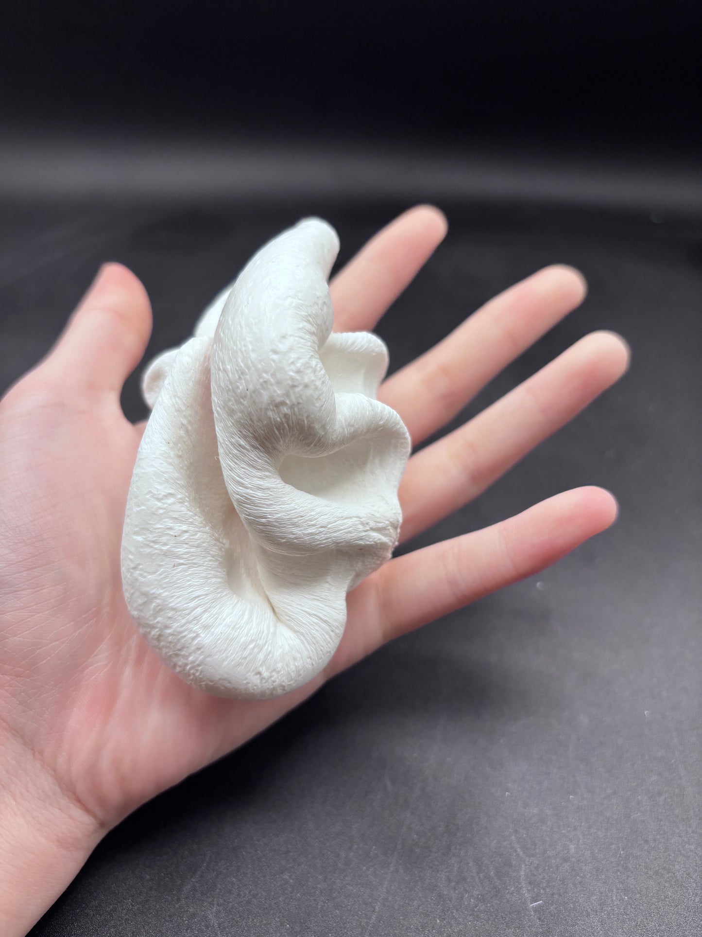 super soft slow rise Samoyed foam squishy