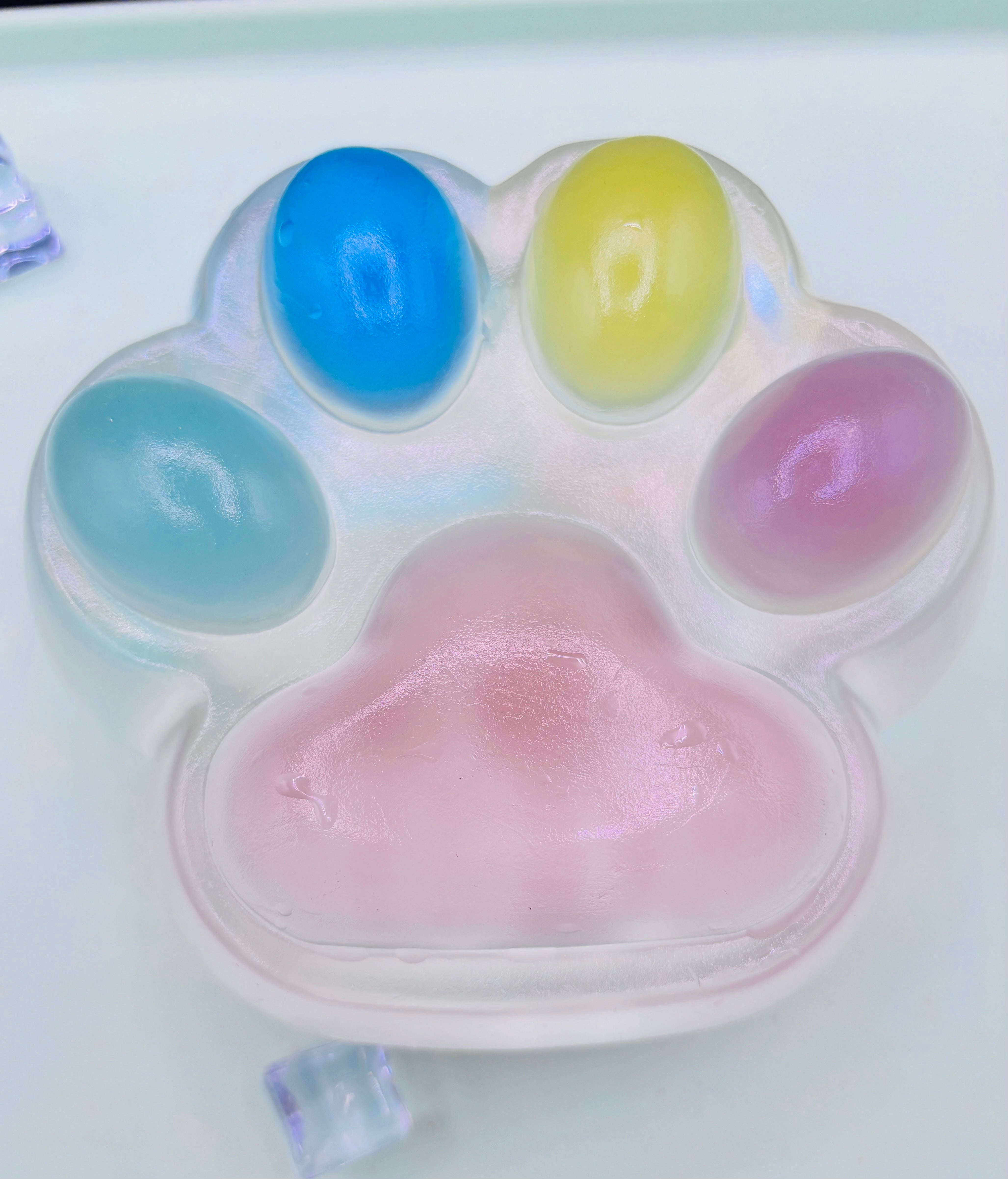 SUPER extra large water textured colorful paw 28 oz (good for popping) Taba Squishy