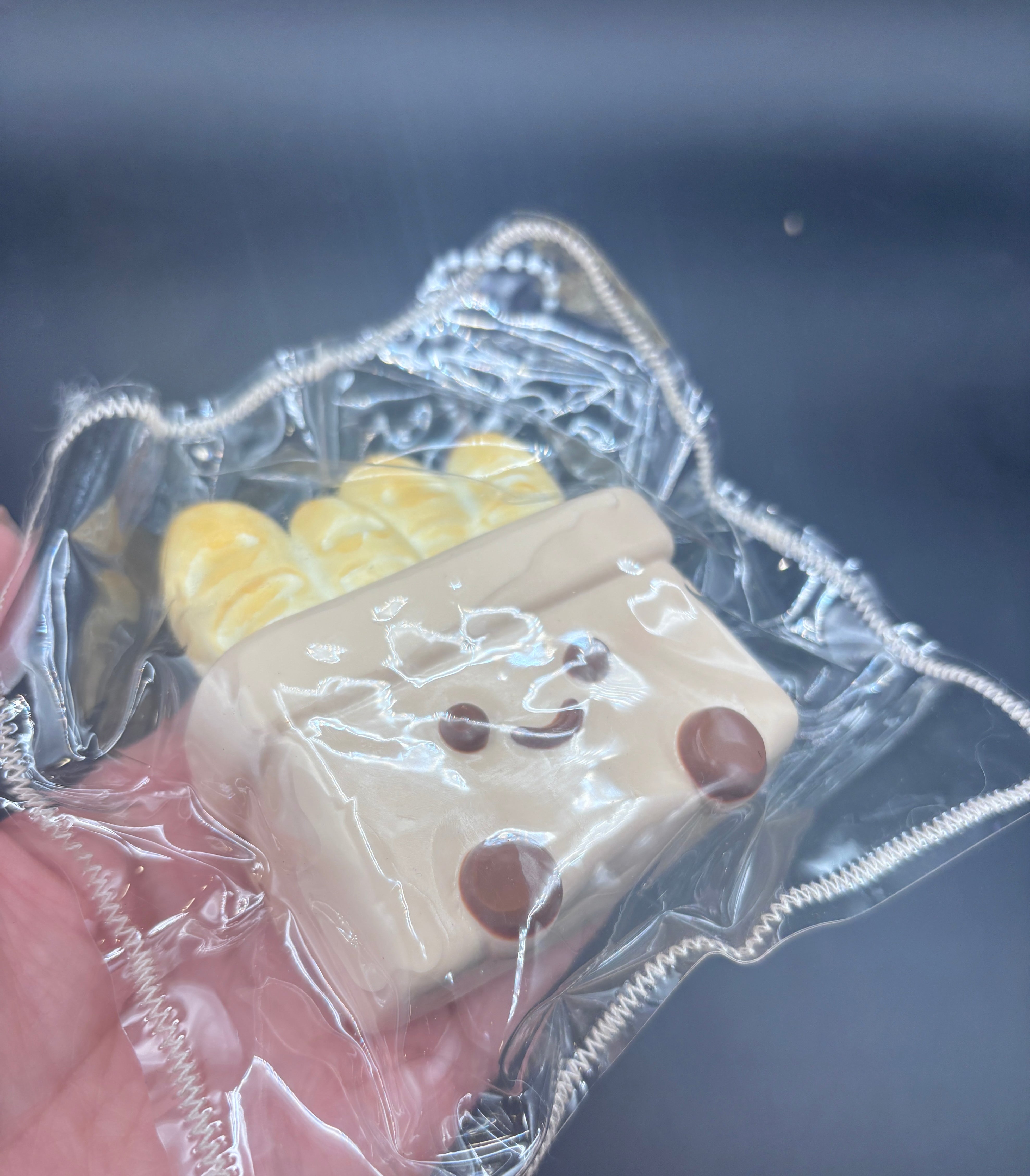 Jelly cat bag of baguettes taba squishy