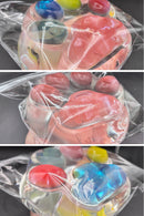 Colorful Paw Taba Squishy