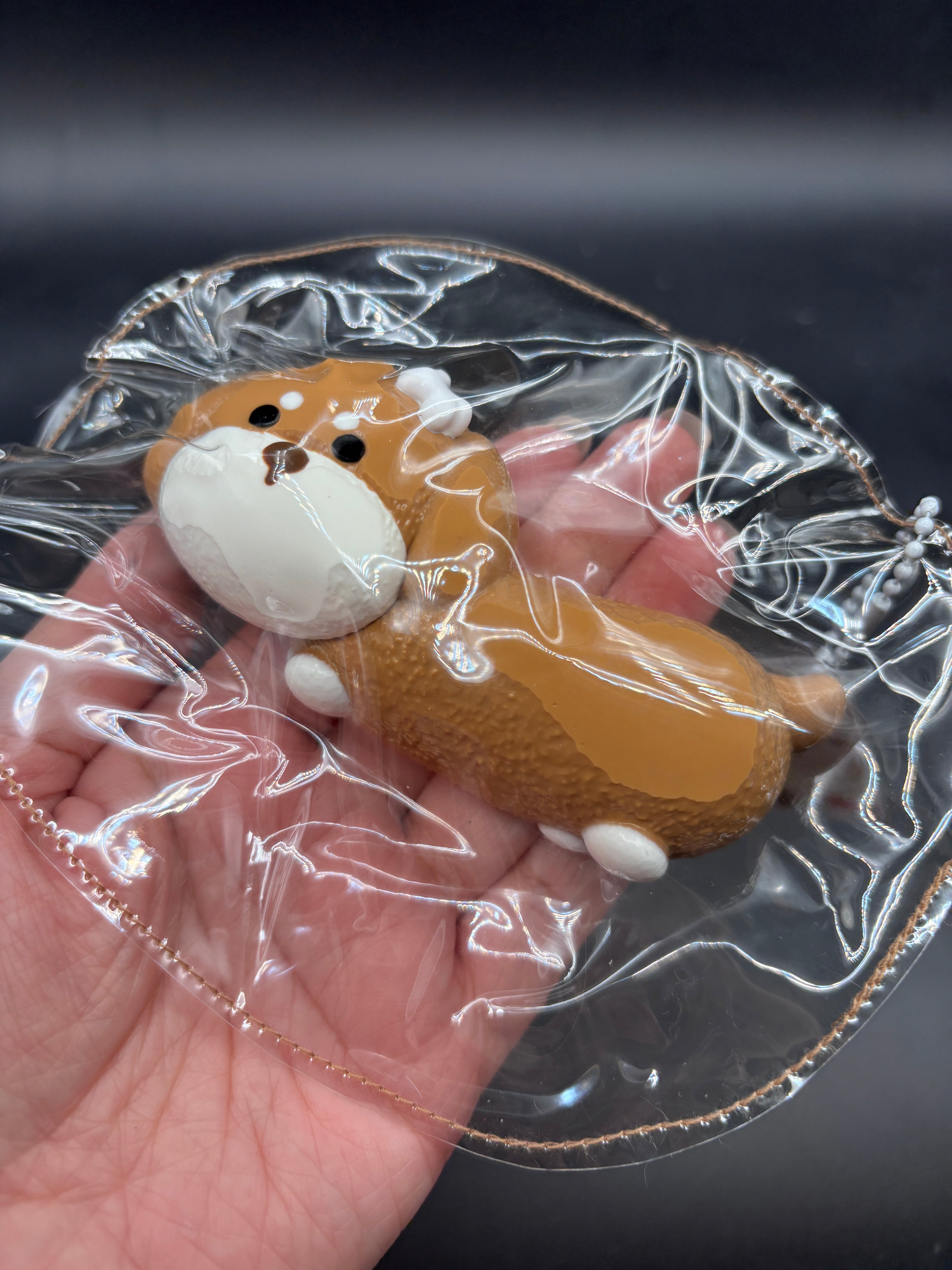 Cute new sausage dog taba squishy soft