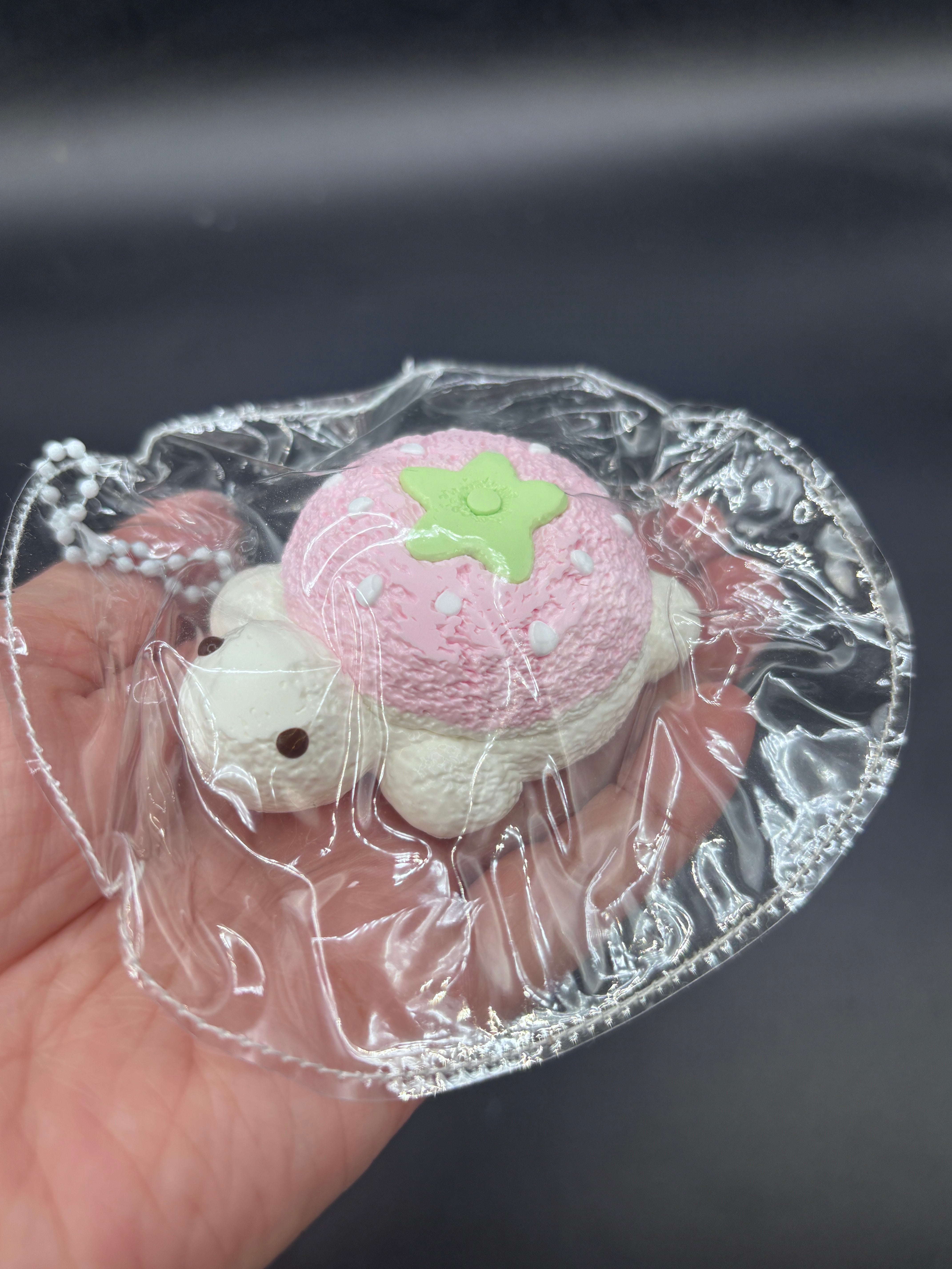 Cutest strawberry turtle taba small  taba squishy