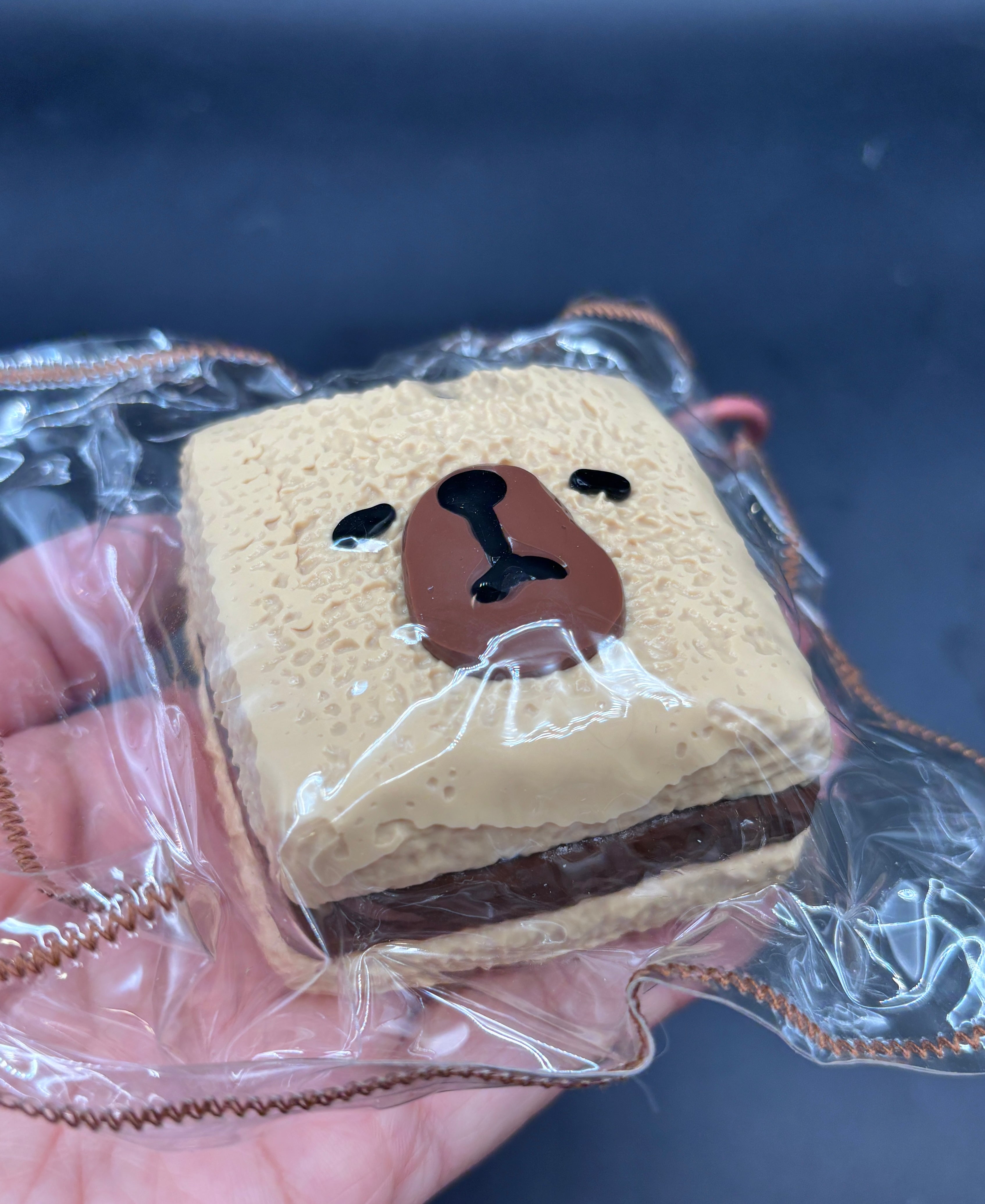 Capybara sponge cake  taba squishy toy