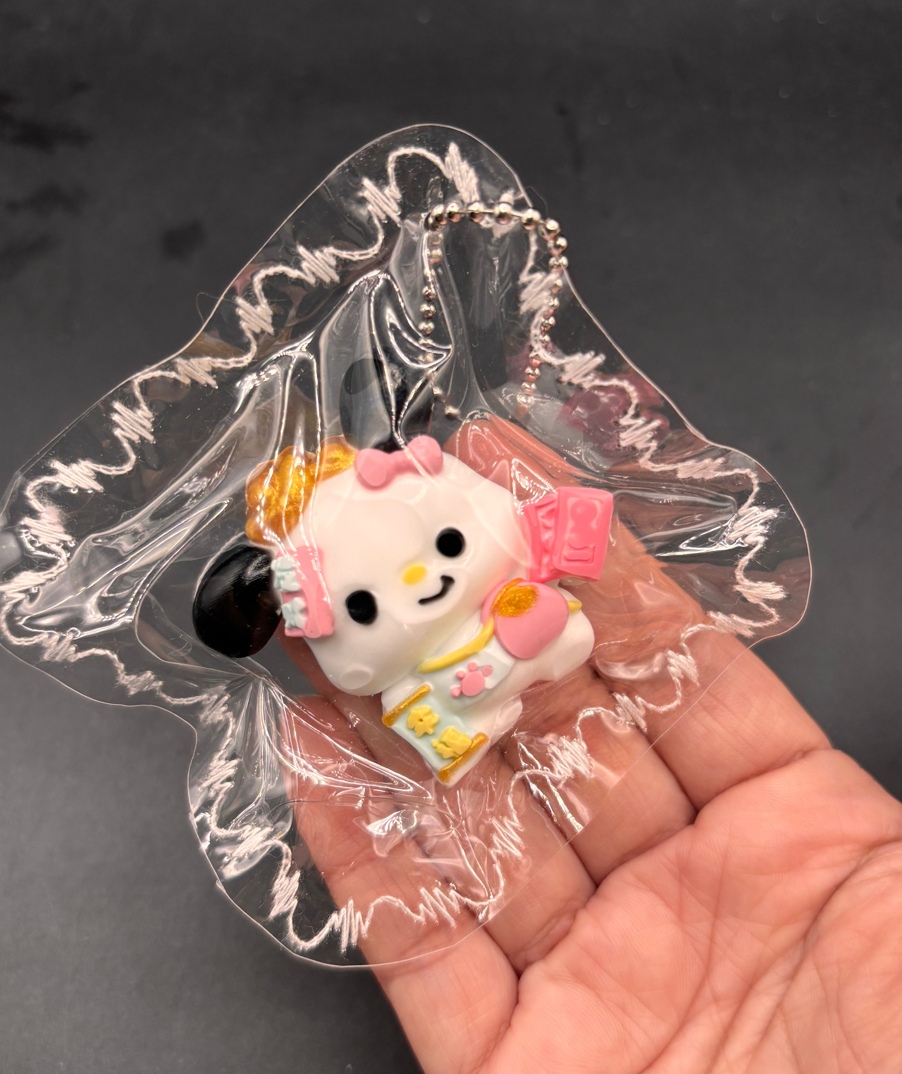 Mini keychain Pochaco taba squishy