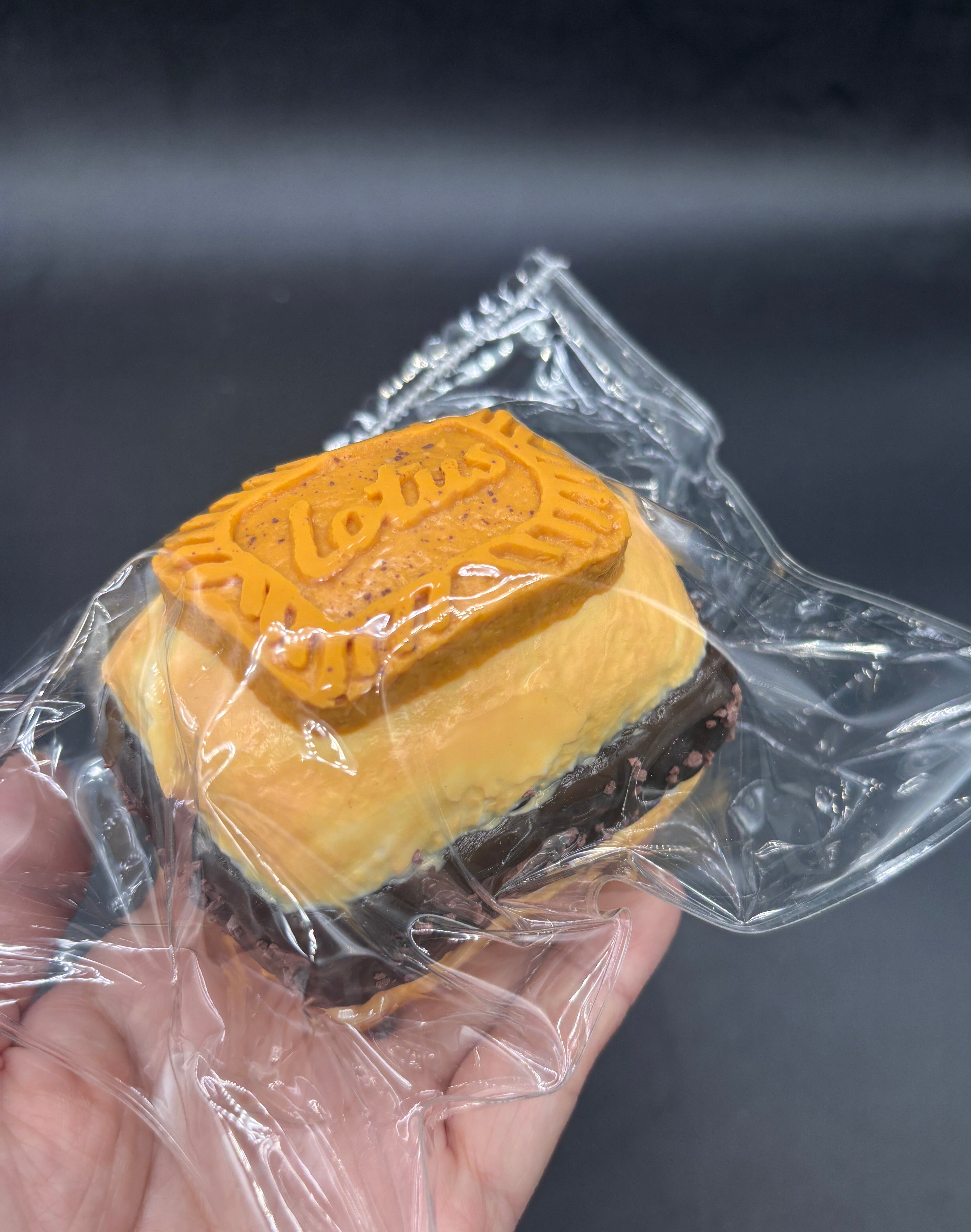 Frozen butter lotus chocolate biscuit  taba squishy