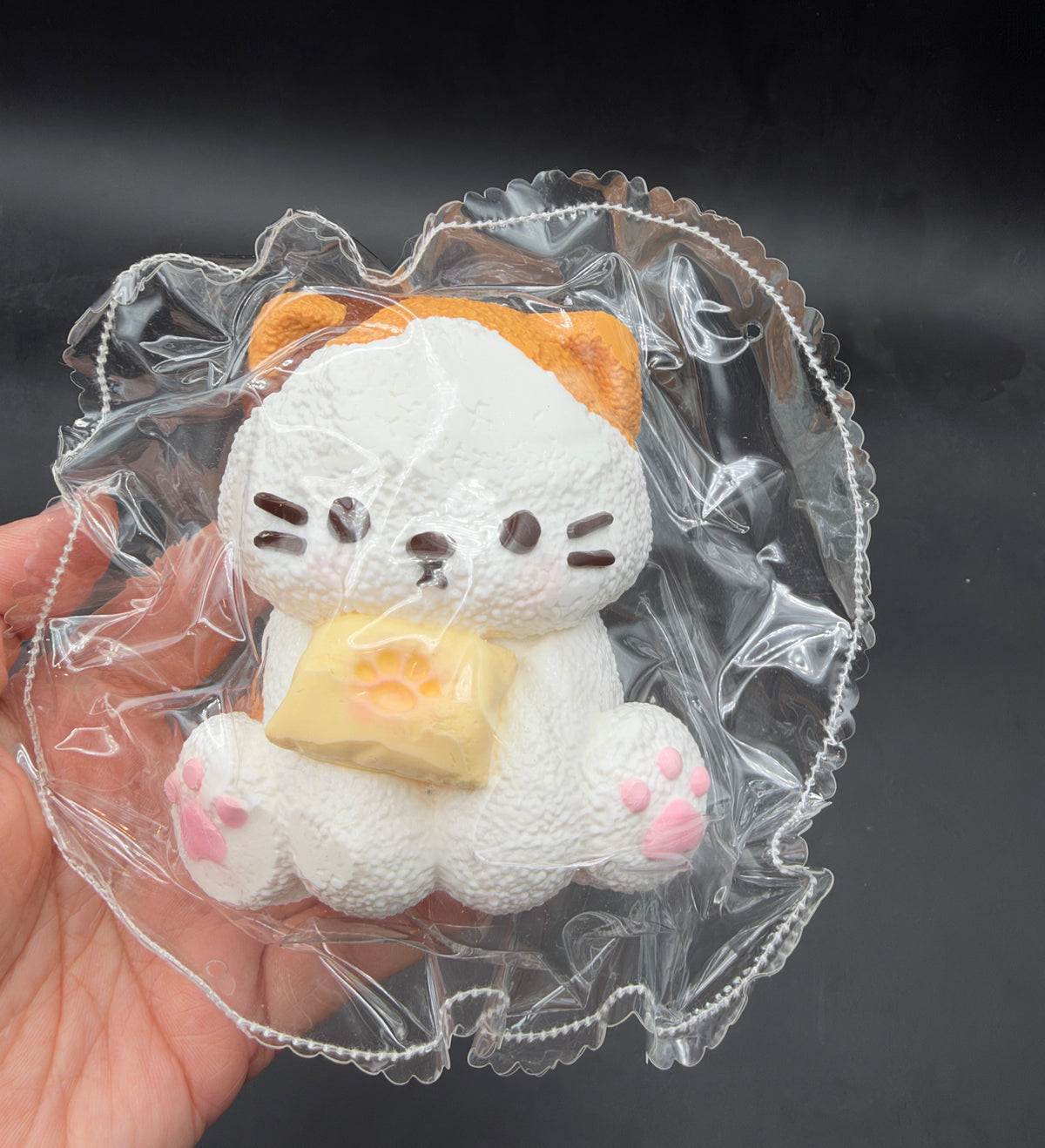 Frozen butter kitty  taba squishy