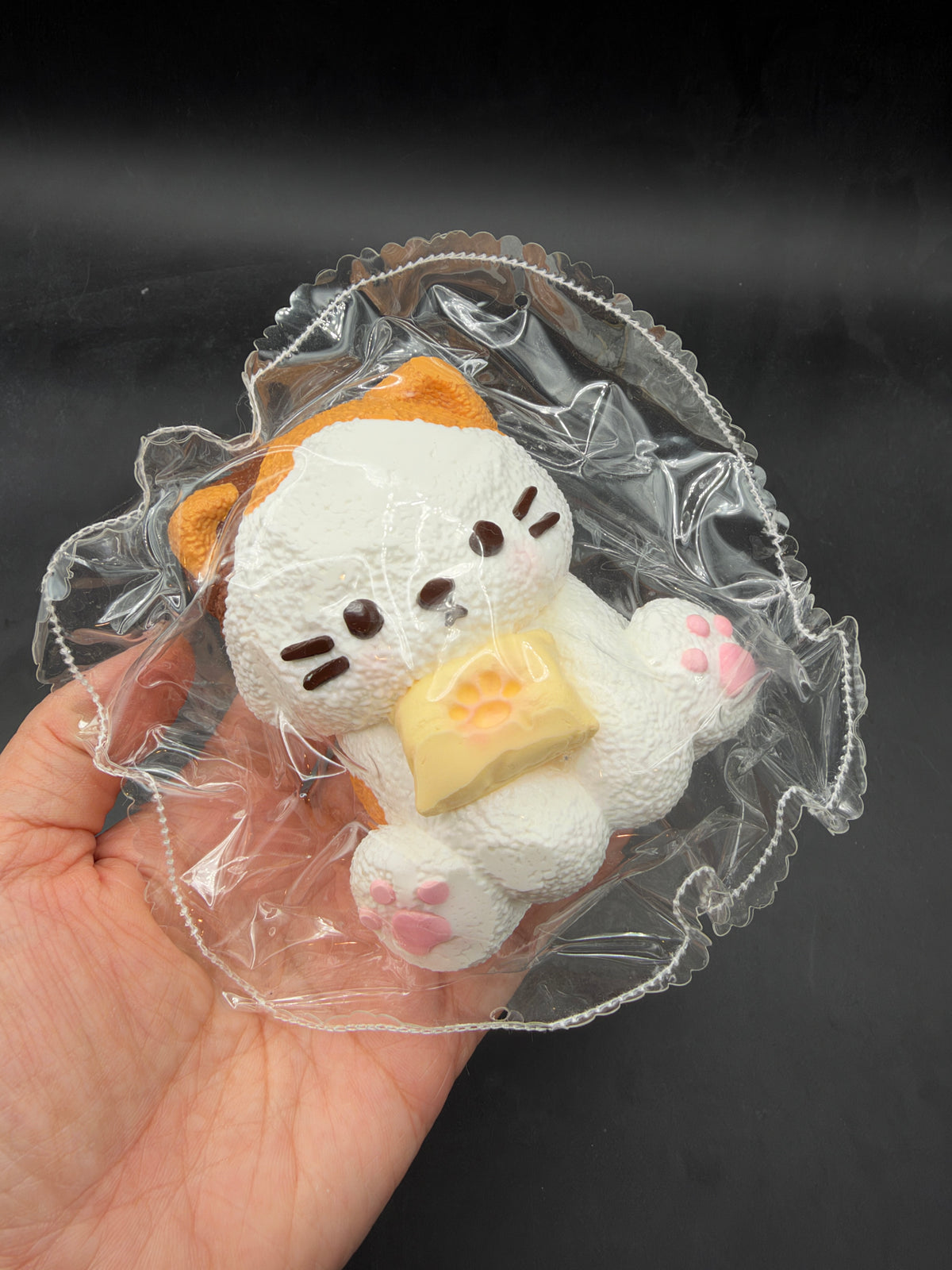 Frozen butter kitty  taba squishy