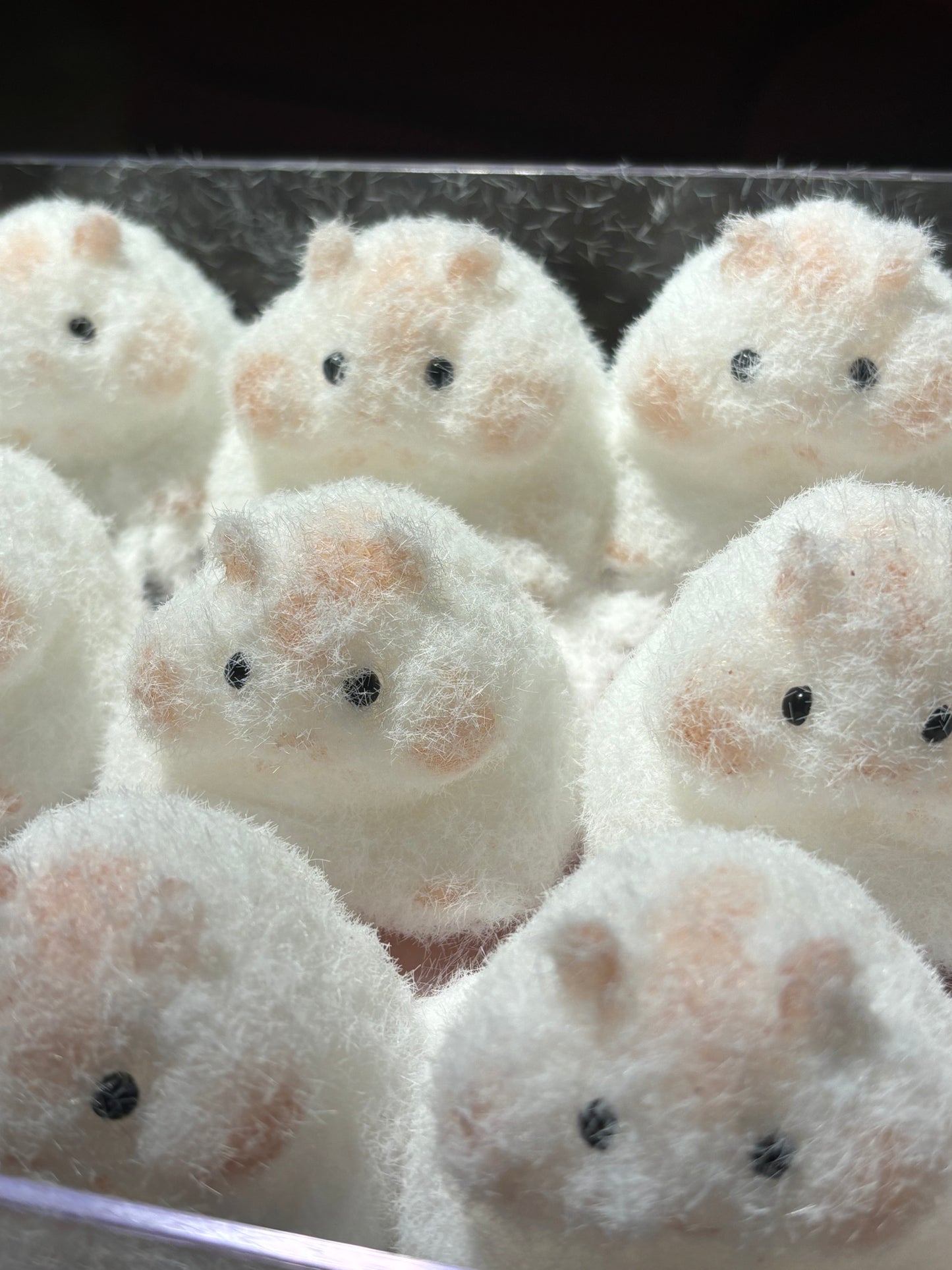 Hamster taba squishy (bestseller)