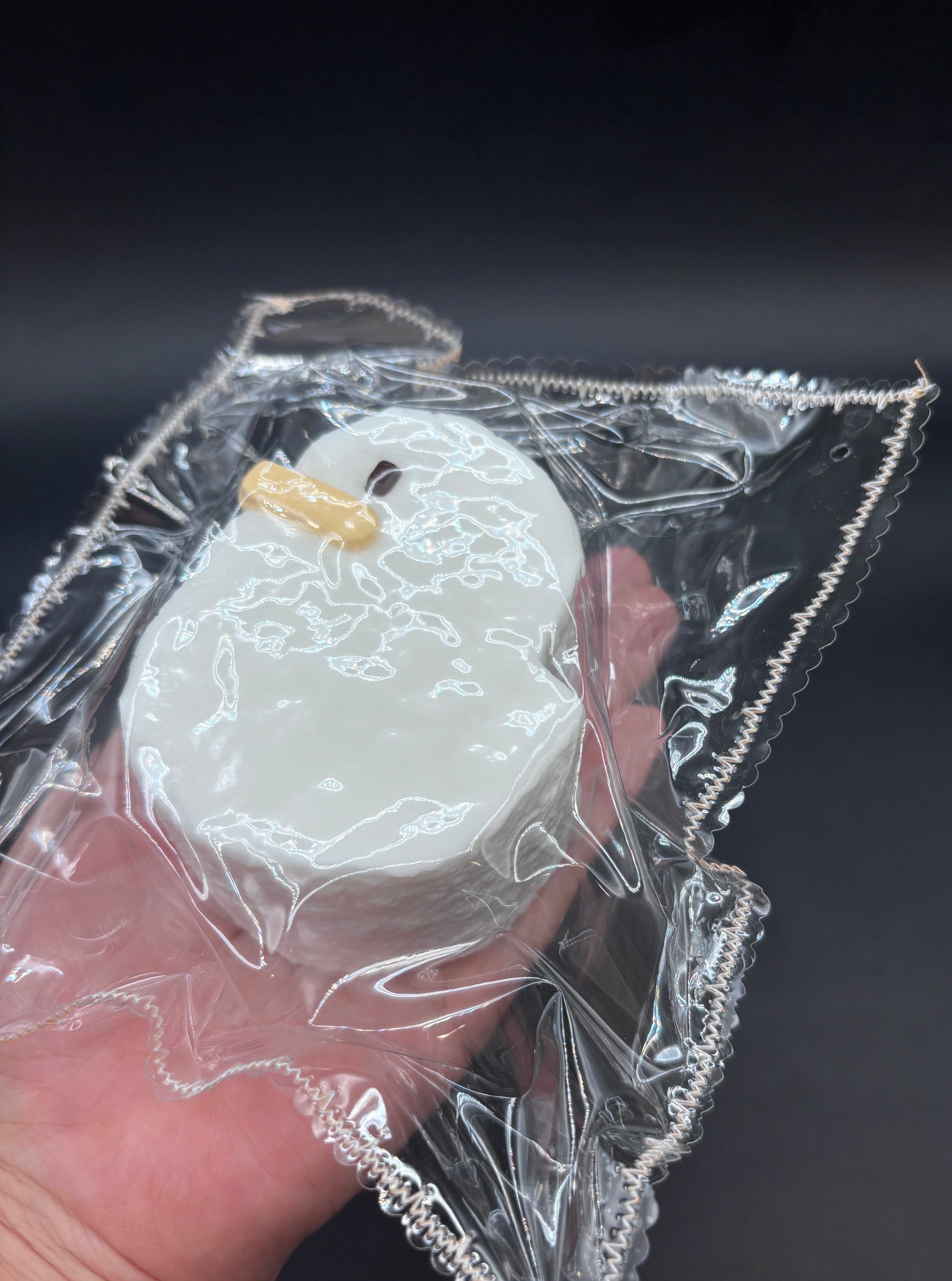 Frozen butter duck cake taba squishy