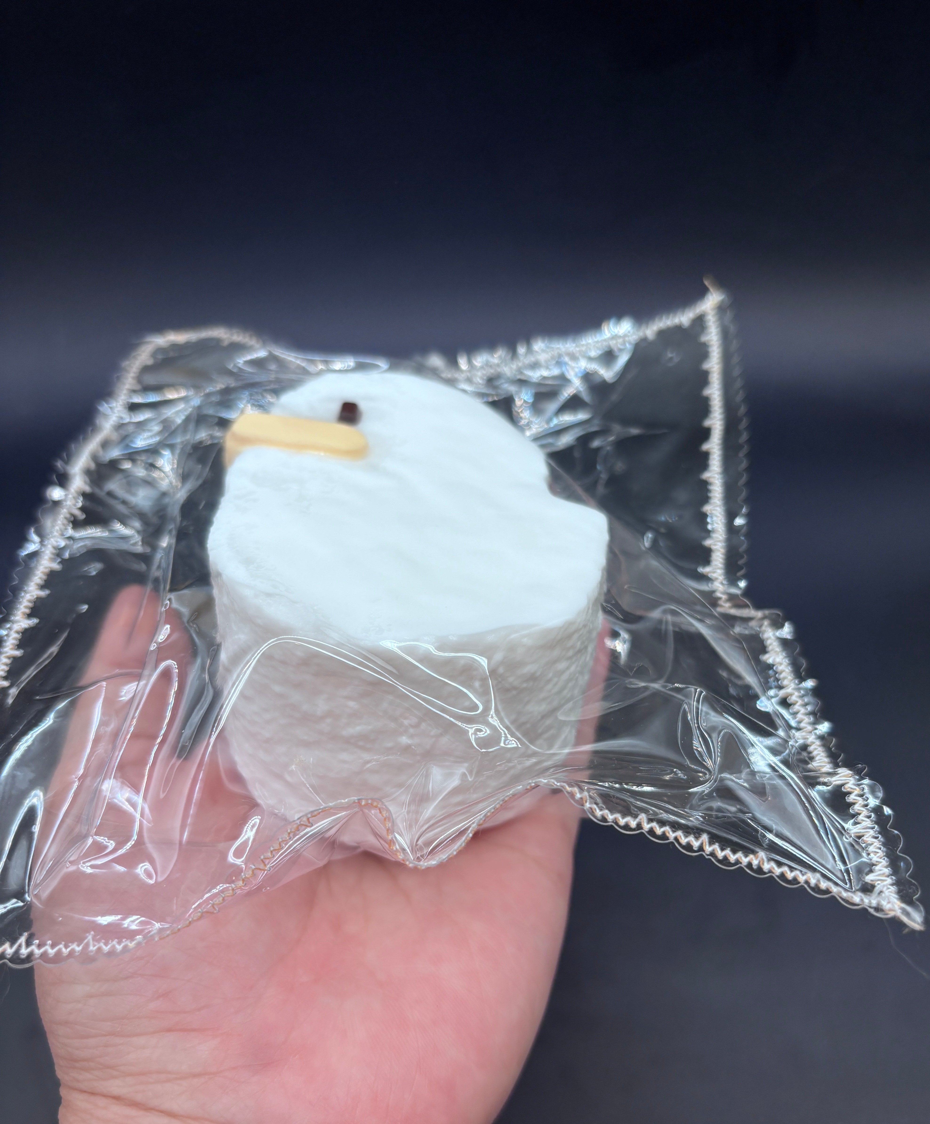 Frozen butter duck cake taba squishy