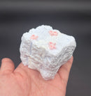 Frozen Butter Small Toast with pink ribbon taba squishy toy