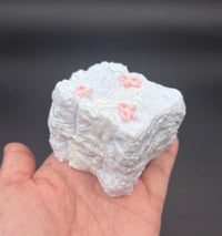 Frozen Butter Small Toast with pink ribbon taba squishy toy