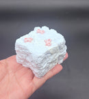 Frozen Butter Small Toast with pink ribbon taba squishy toy