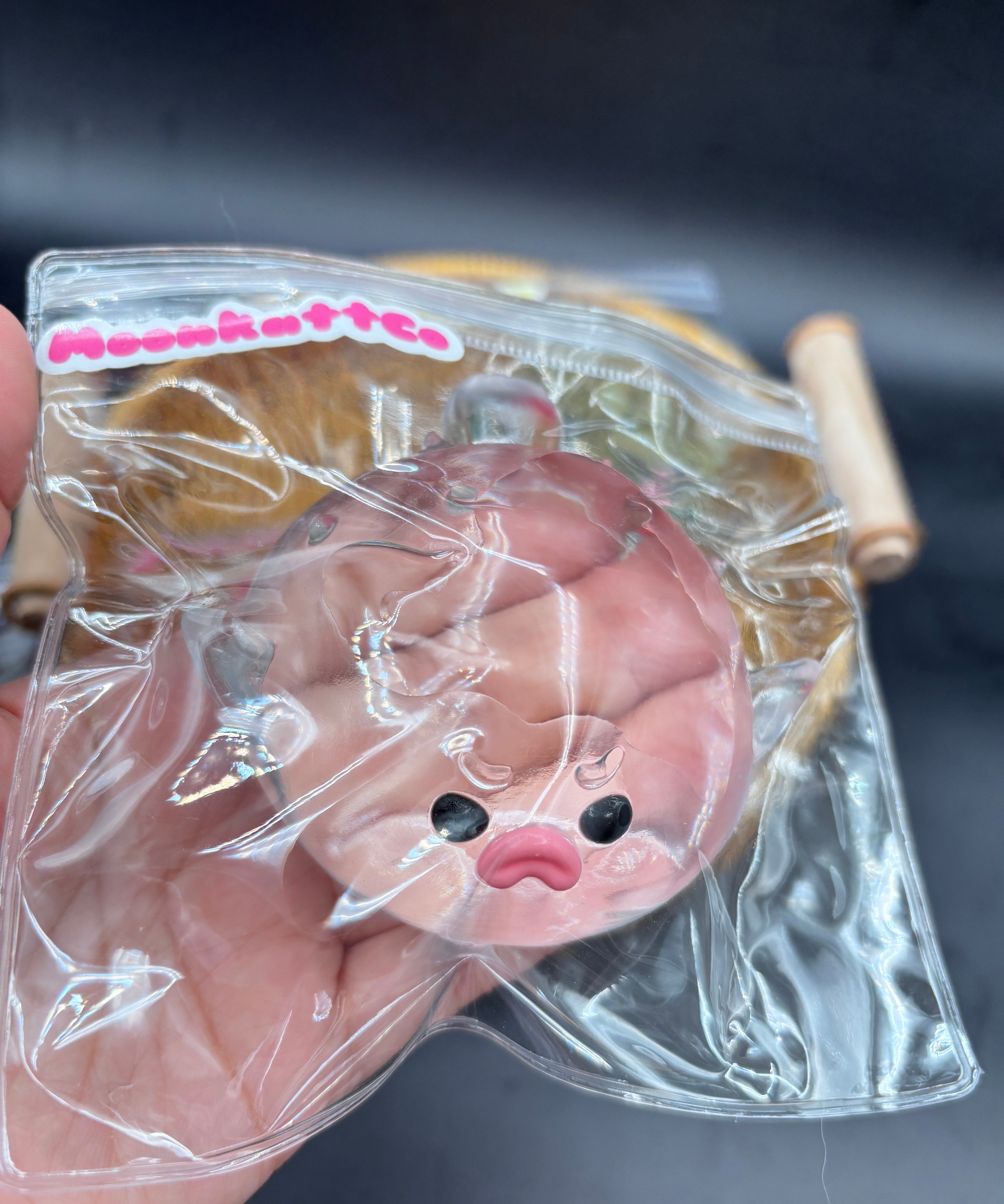 clear puffer fish soft taba squishy