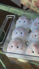 Hamster taba squishy (bestseller)